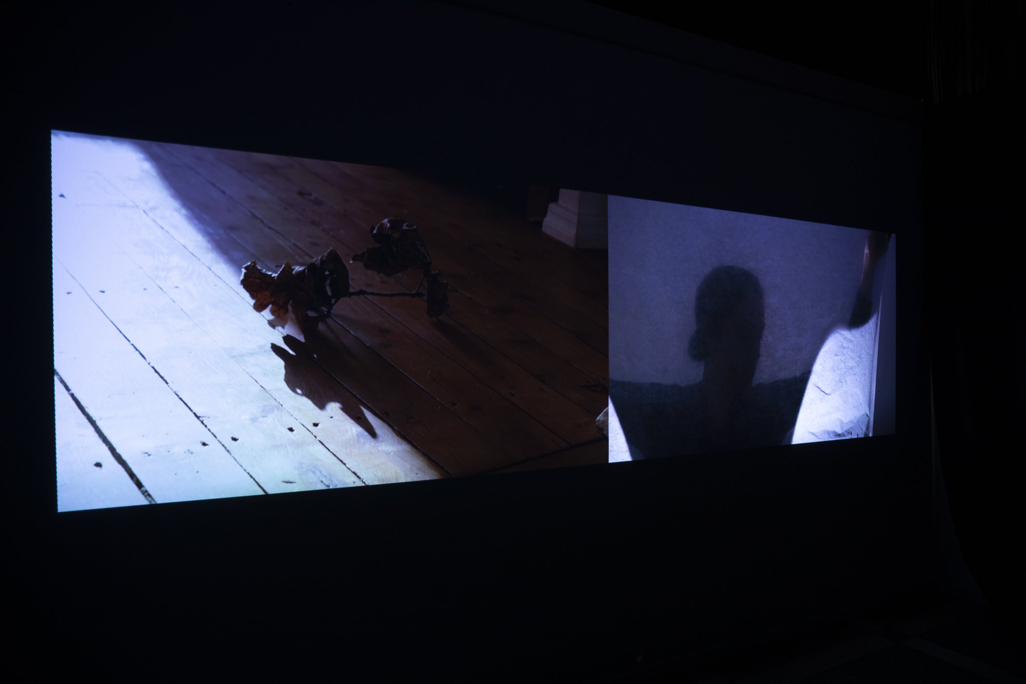 FacultyShow_Fall2024_SLU_CFL_82.jpg