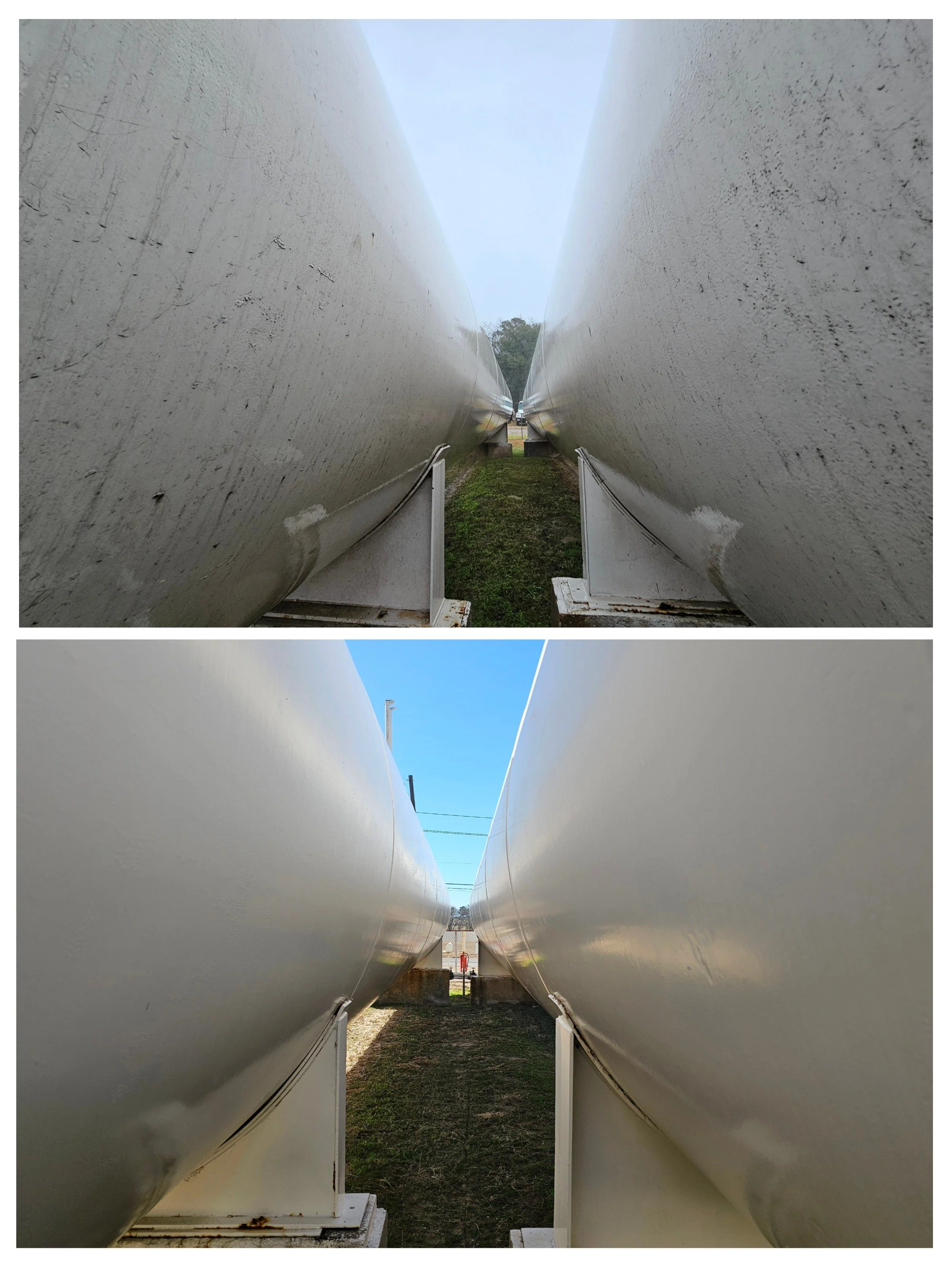 20250202_162412-COLLAGE.jpg
