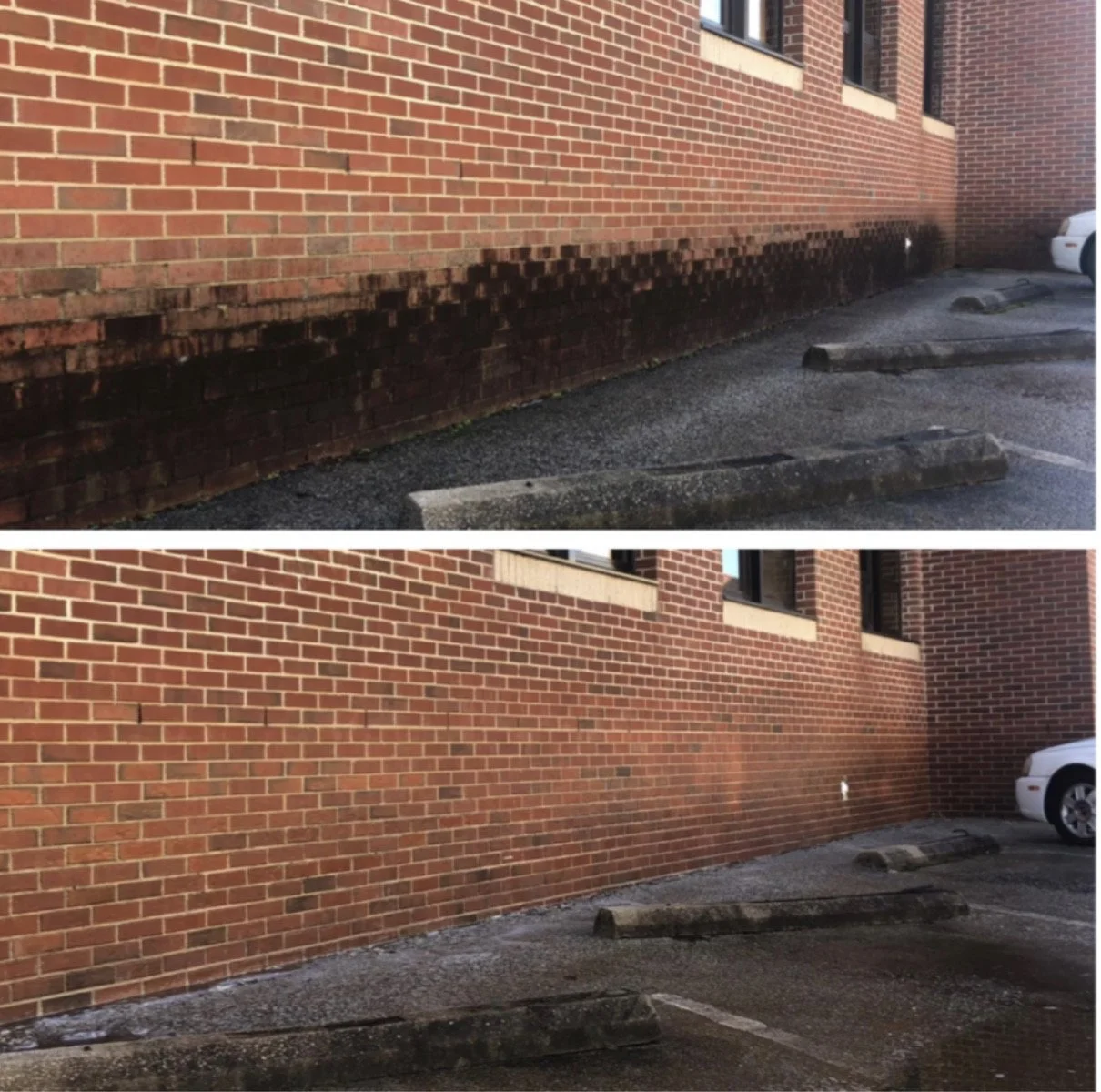 FullSizeRender 10.JPG