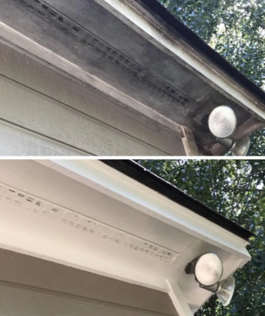 FullSizeRender 5.JPG