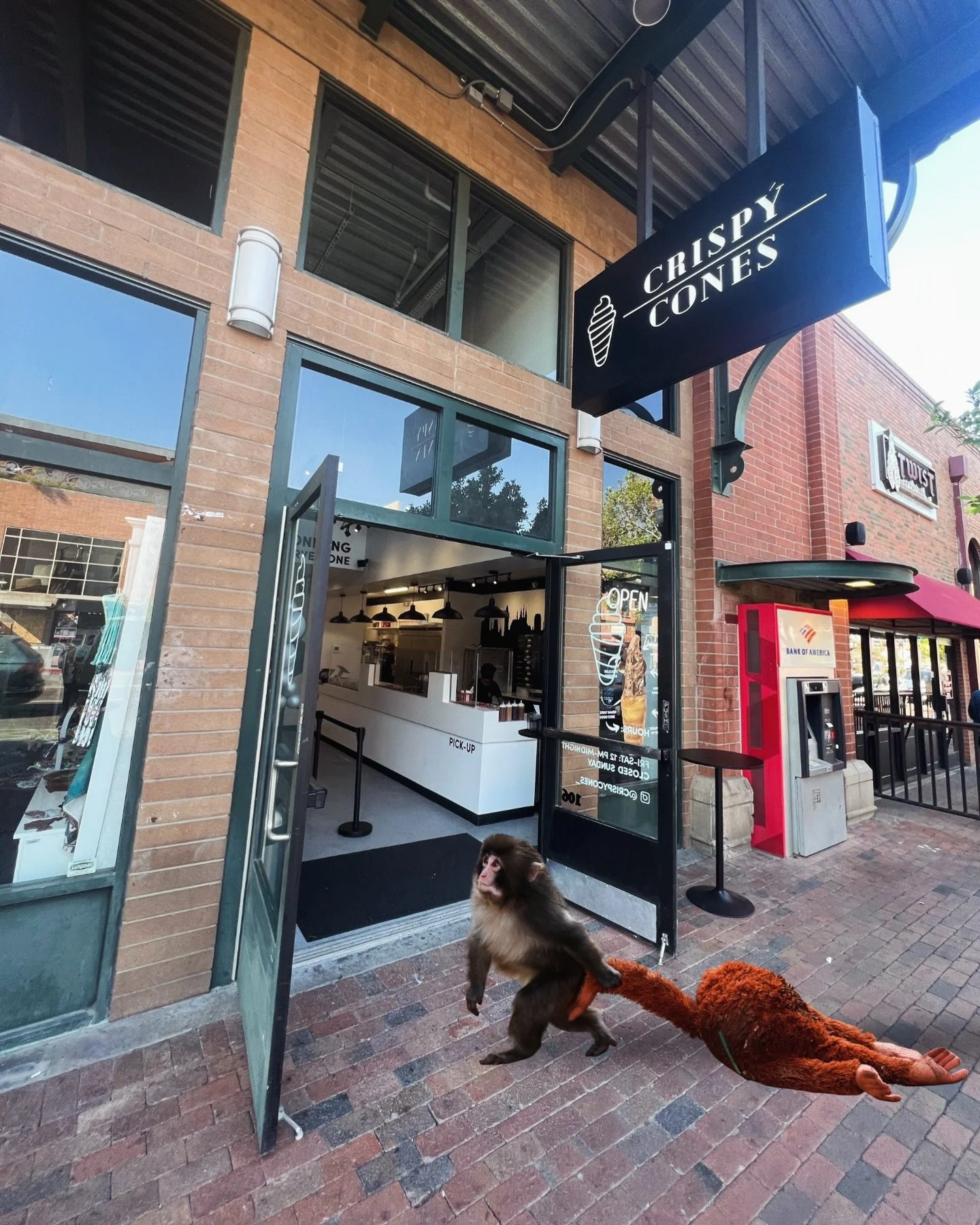 *Dragging my friend to come try the new weekly specialty creation with me*

Tag the stuffed animal to your Punch ⬇️🙈

#punch #punchmonkey #punchthemonkey #crispycones #icecream