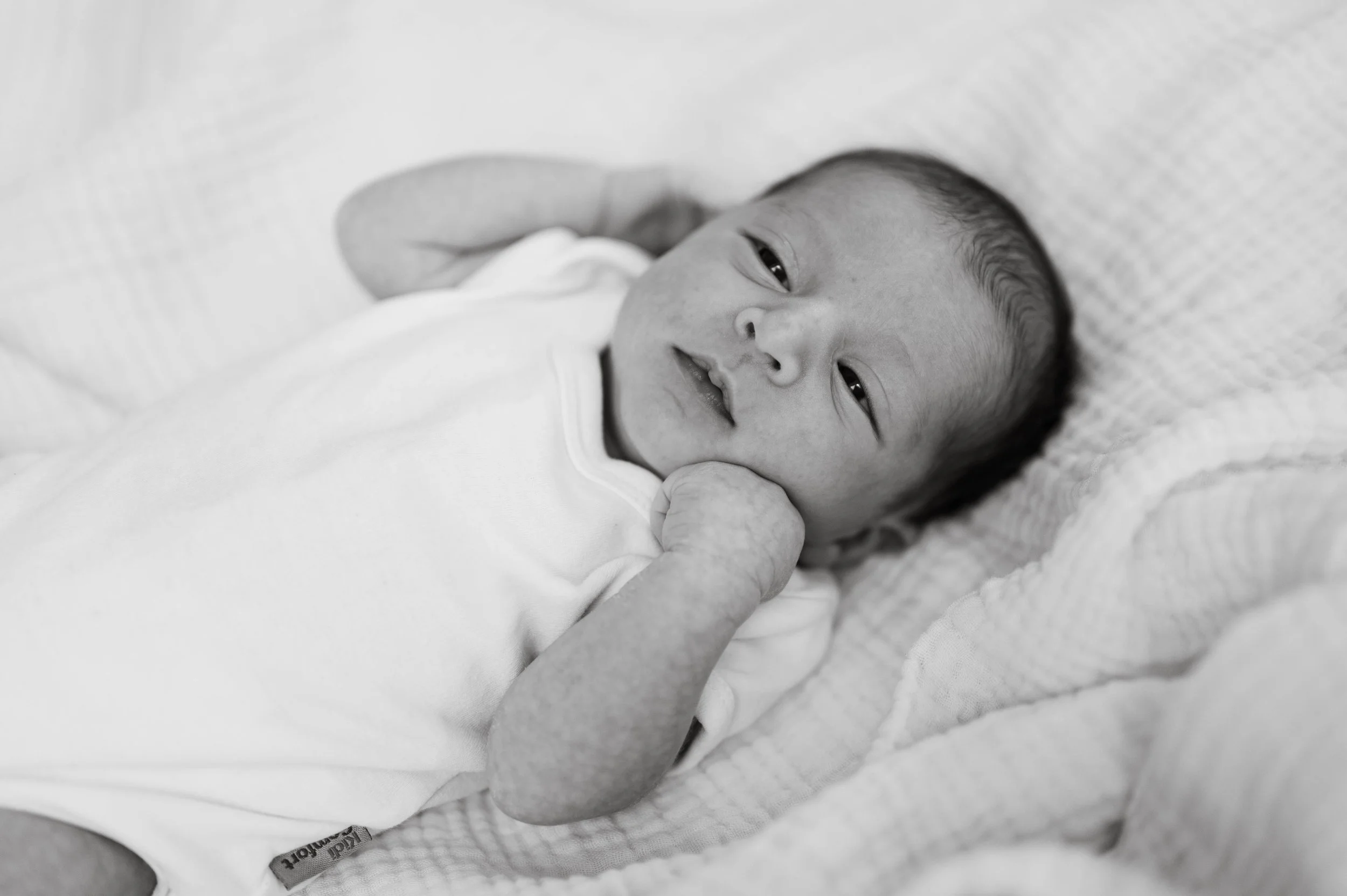 DSC_5156-2.jpg