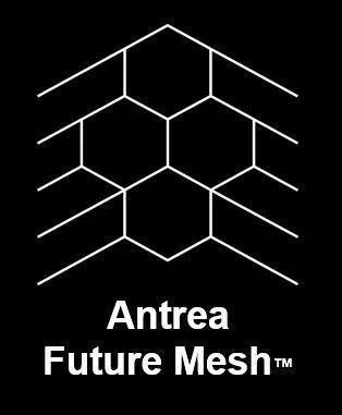 future mesh.jpg