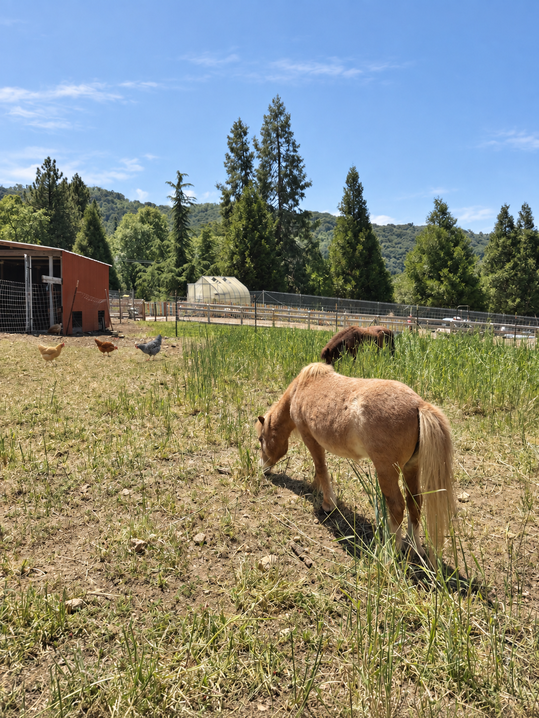 blissful-besties-animal-connection-retreat.png