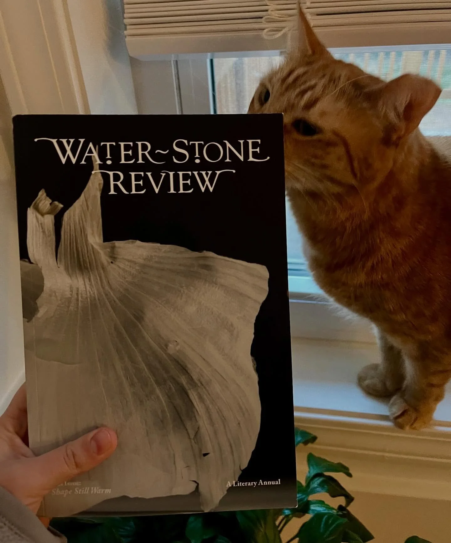 Thank you @waterstone_review for publishing &ldquo;Fungirl,&rdquo; championed by guest editor @mike__alberti. You&rsquo;re not supposed to have favorites, but this story is so important to me. I never thought this funky, formal piece would find a hom