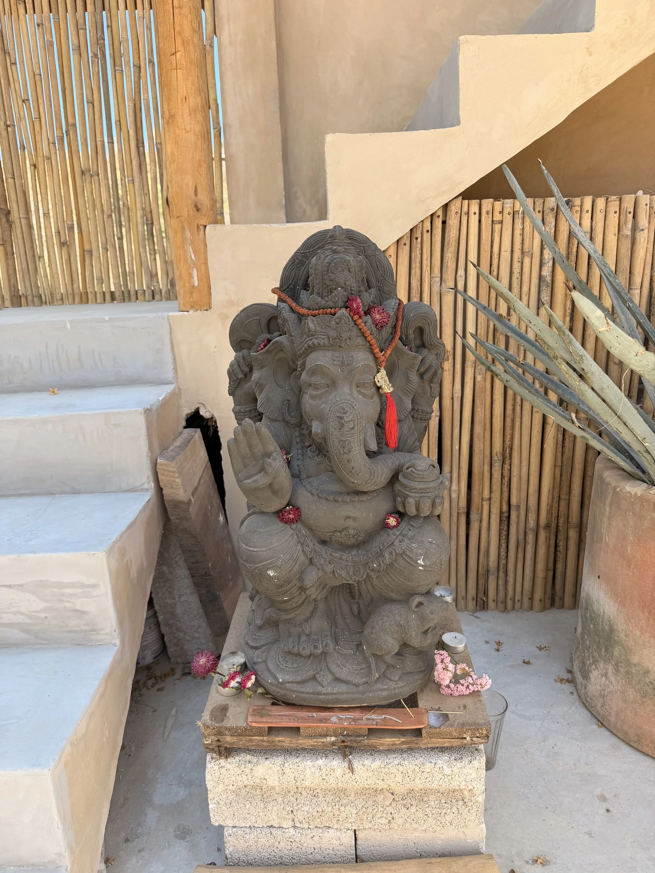 Uncovering Your Dharma: The Courage to Be Human