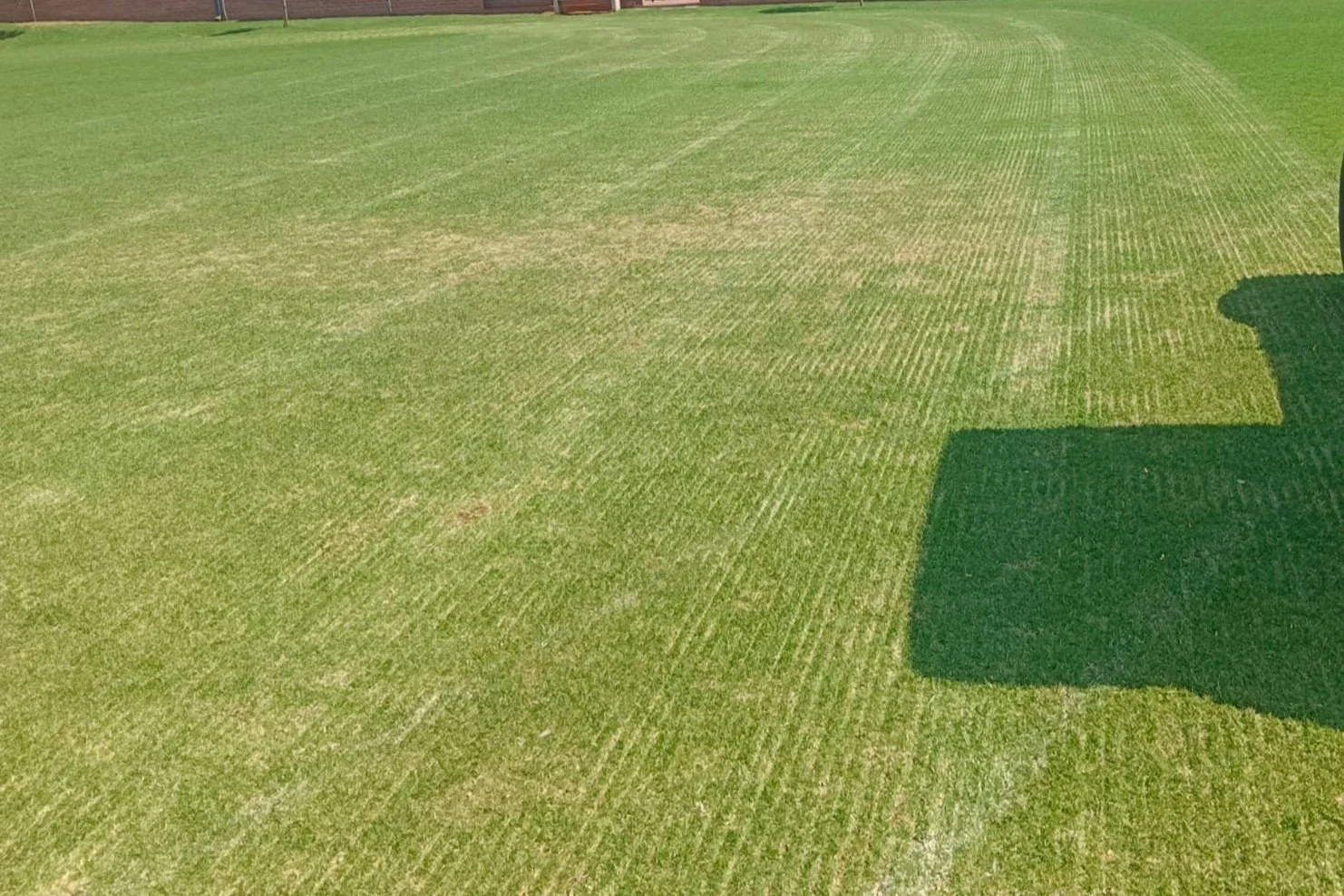 verticut-02.jpg