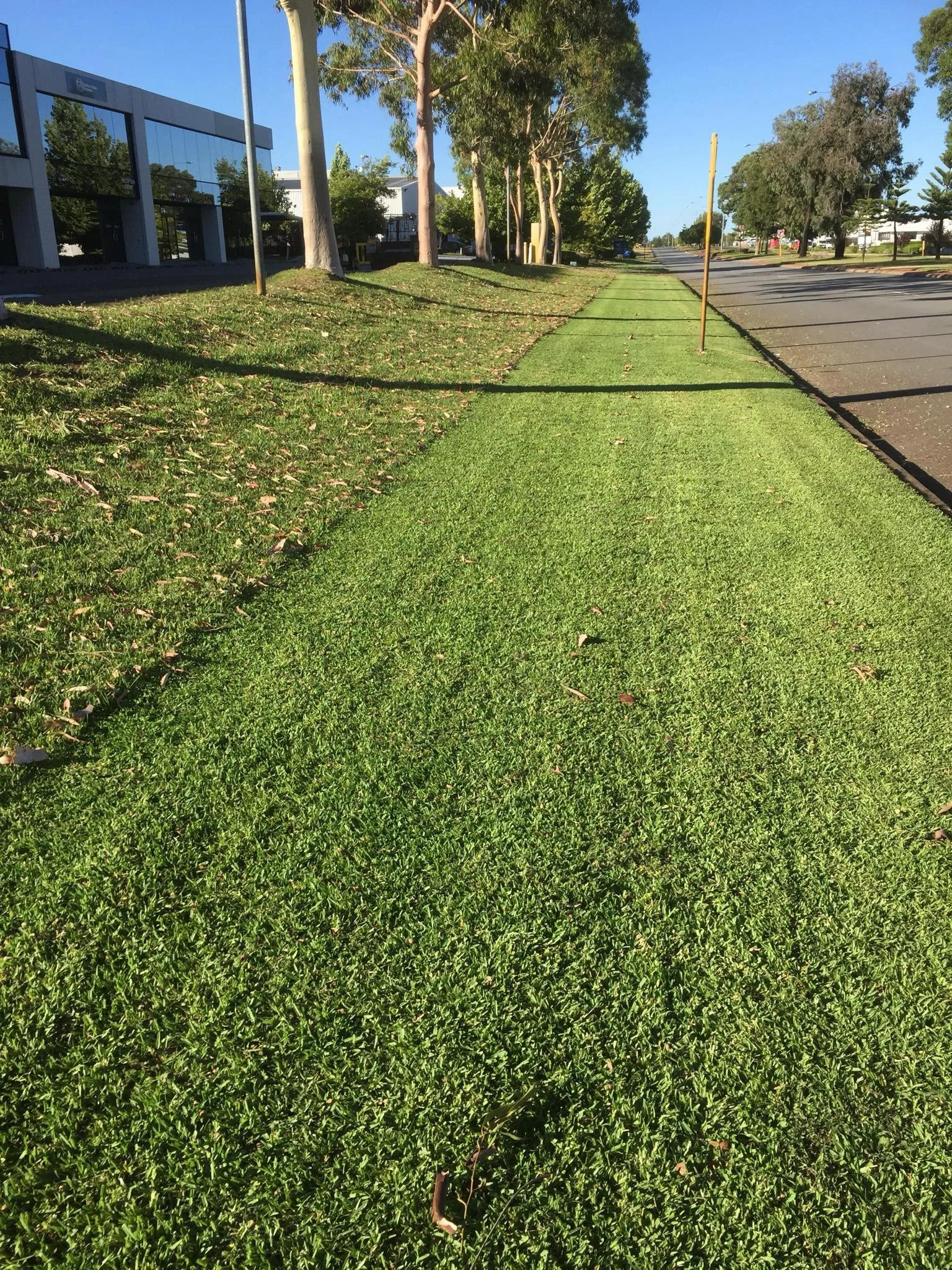Landscape Maintenance Perth