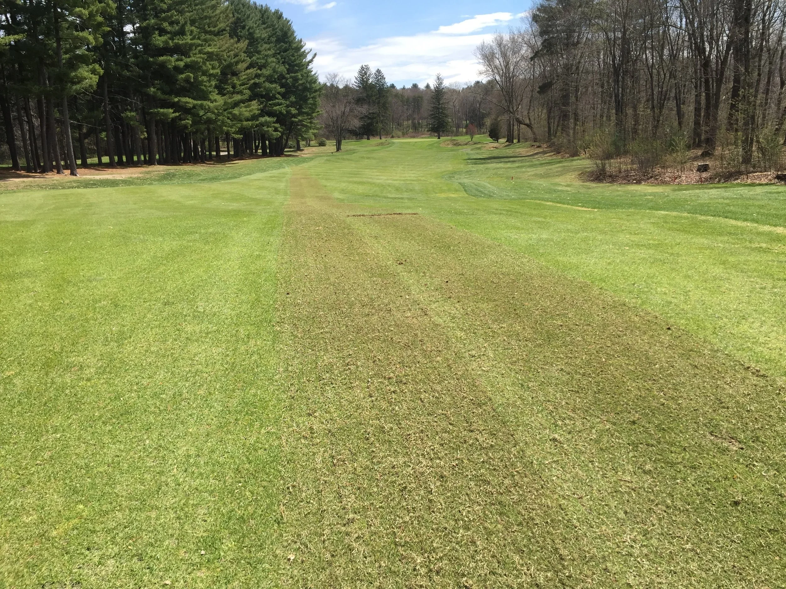 Large scale Virti Mowing
