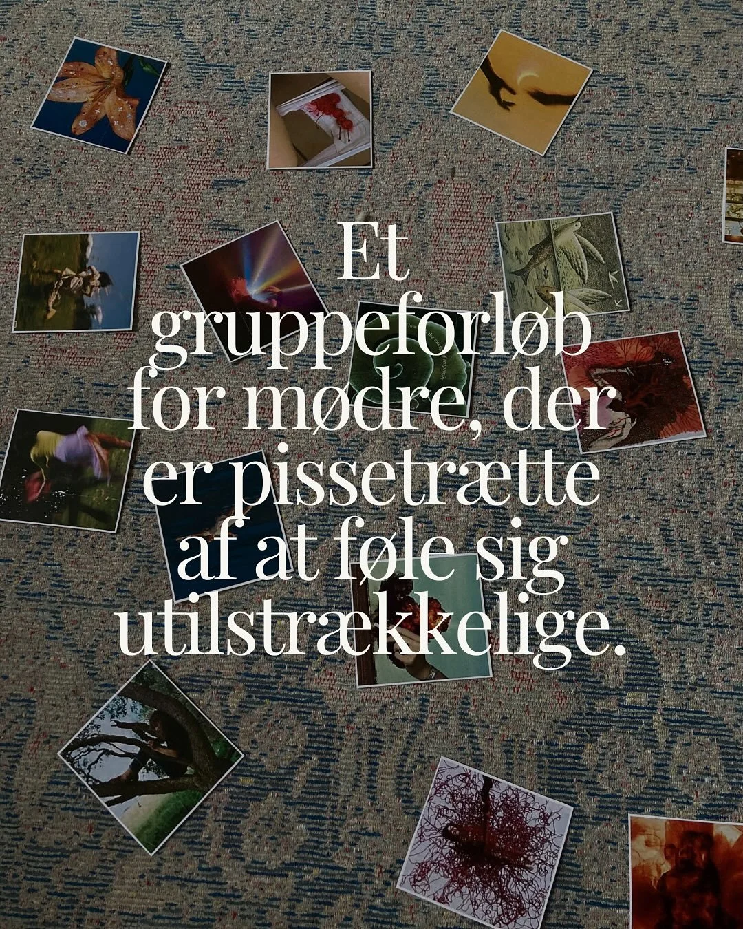 Sandheden er, at jeg br&aelig;nder inderligt for at skabe f&aelig;llesskaber af m&oslash;dre.

Derfor &aelig;der jeg nu min gamle hat og laver et online gruppeforl&oslash;b for m&oslash;dre, der er pissetr&aelig;tte af at f&oslash;le sig utilstr&aeli