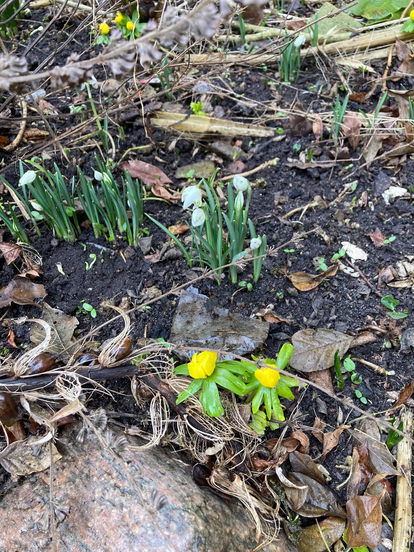 Det, kan hurtigt opleves som om, det at blive mor kun er noget, der overg&aring; os selv. At vi bliver m&oslash;dre alene. 
 Men vi mennesker er ikke skabt til at klare store livsovergange alene.

F&aelig;llesskab er en foruds&aelig;tning for, at vi 