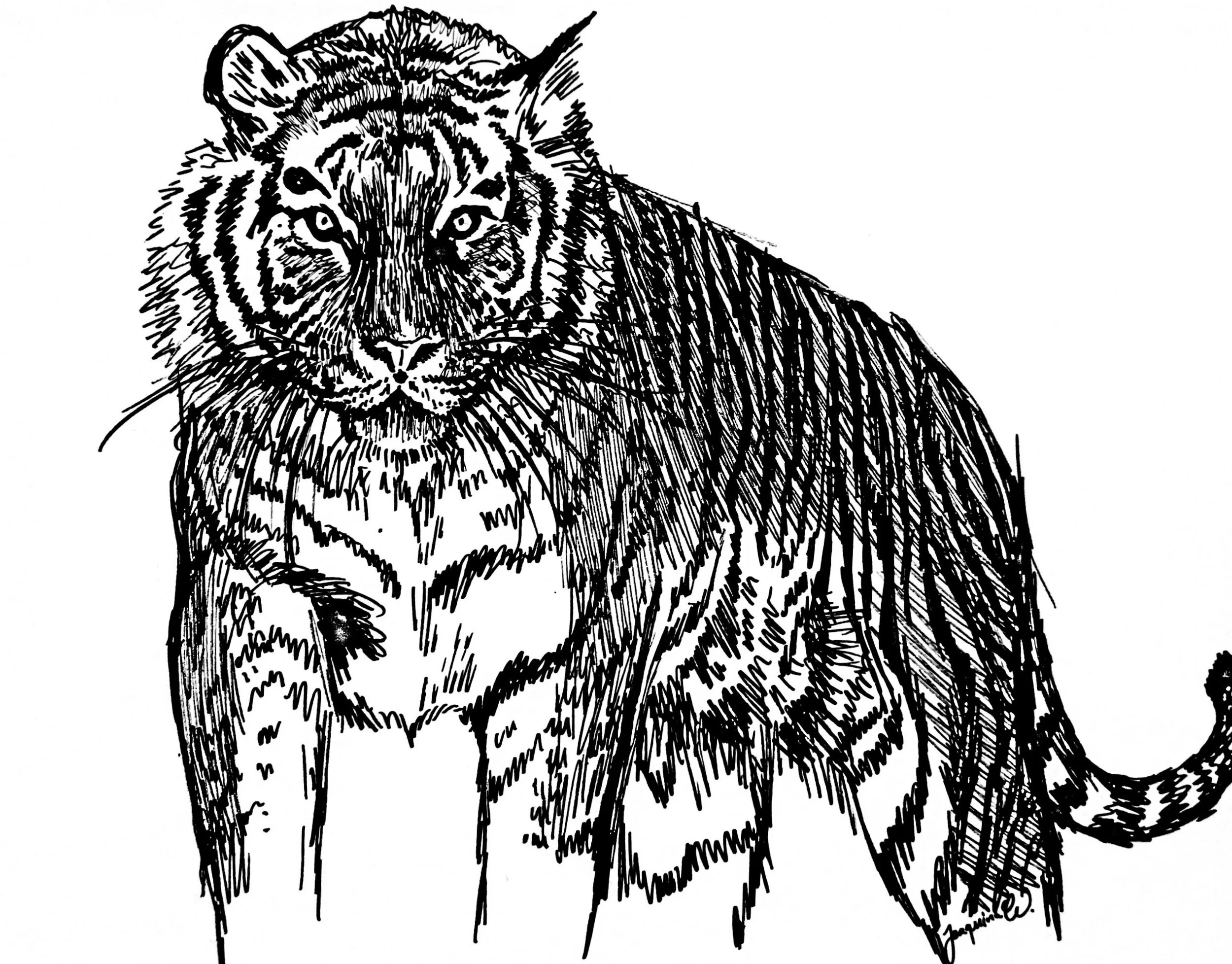 20241120-013848_p2~2.jpg