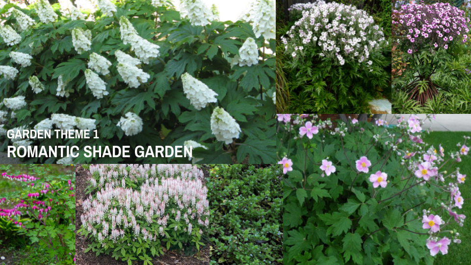 shade garden plant palette