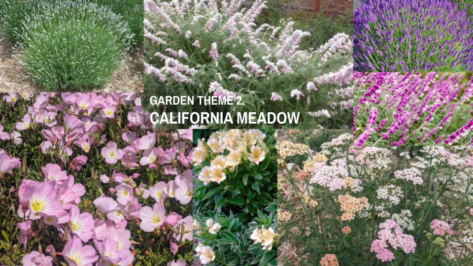 sun garden plant palette