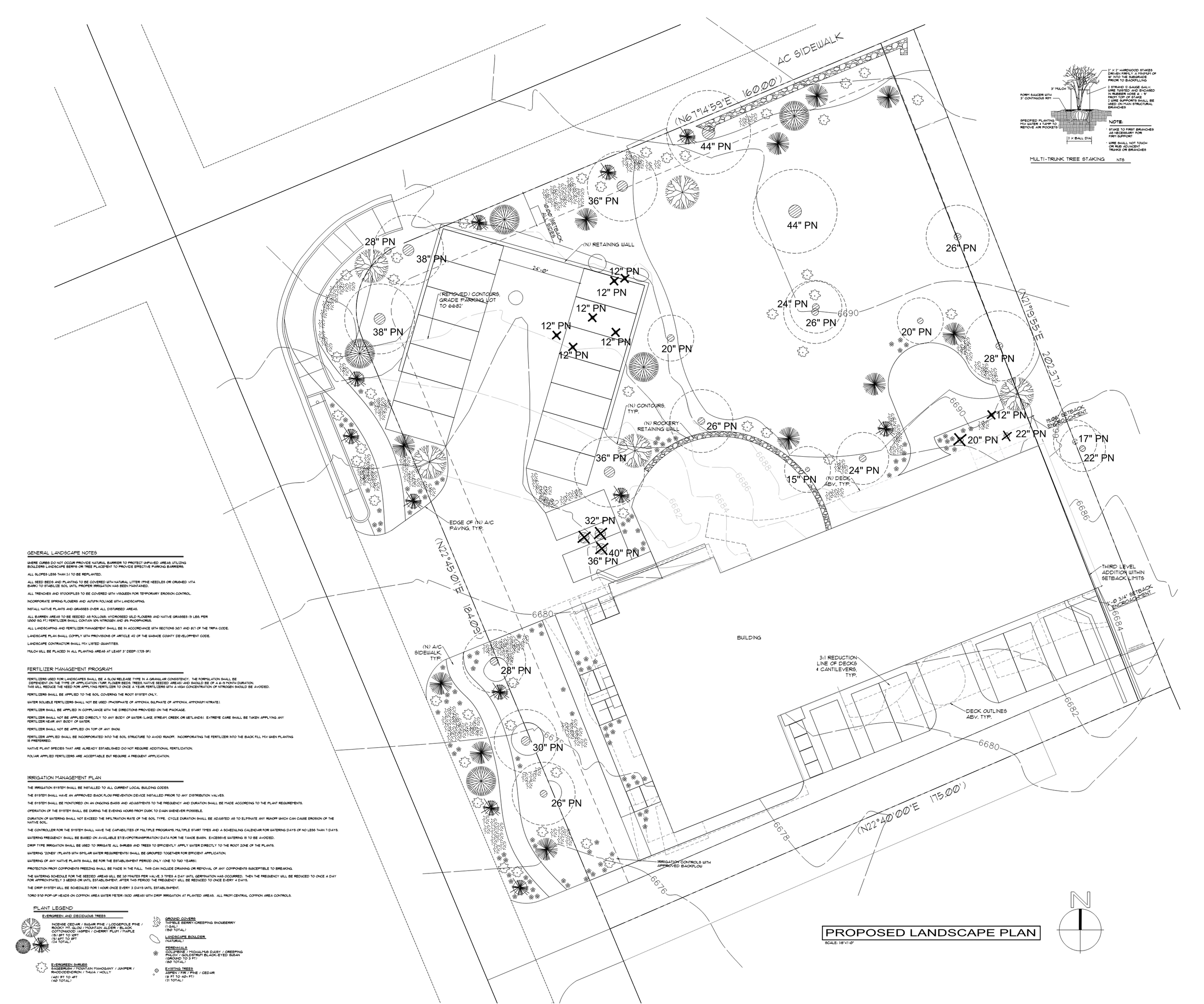 joaquinasierra site plan 250V2.png