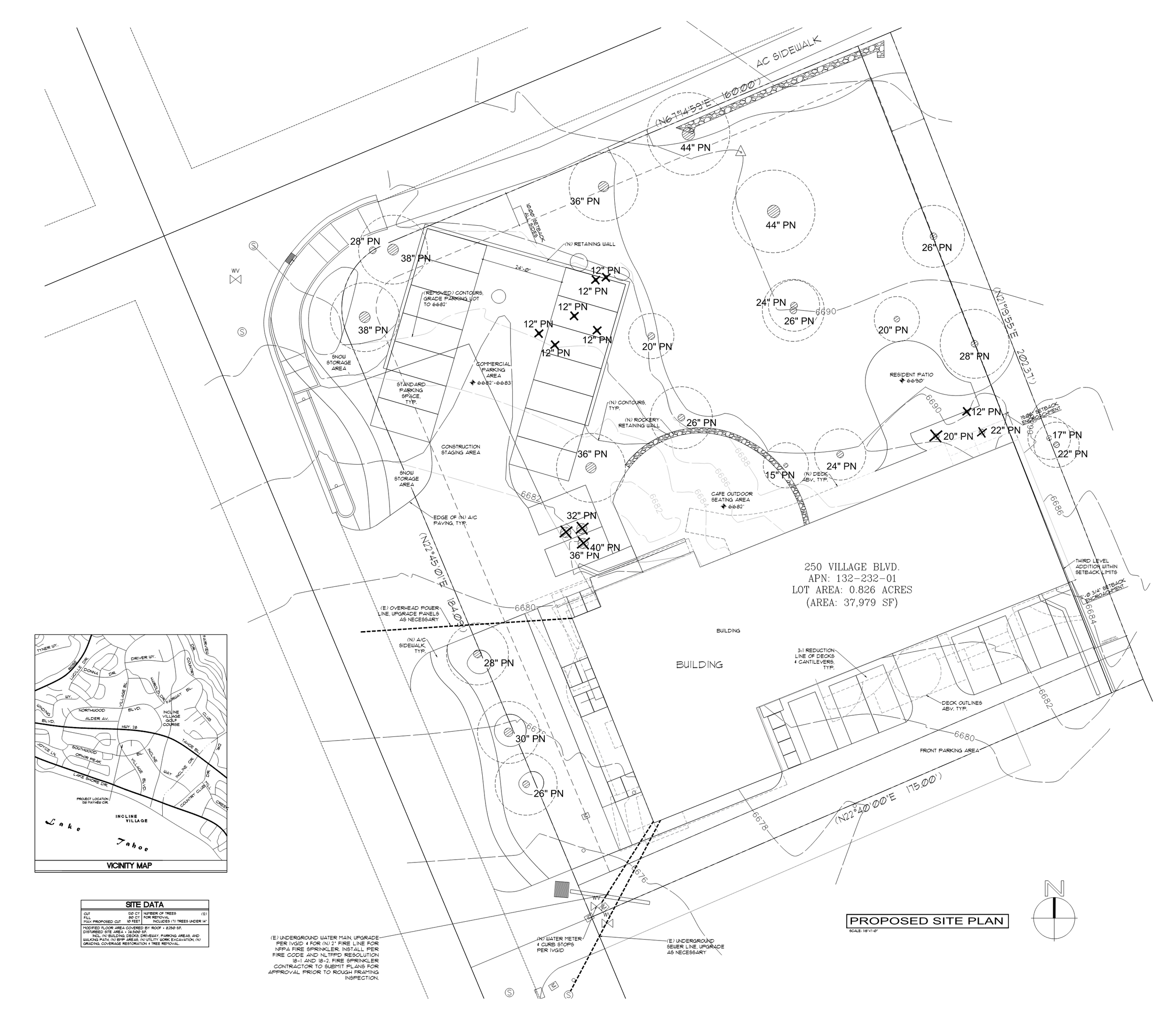 joaquinasierra site plan 250V1.png