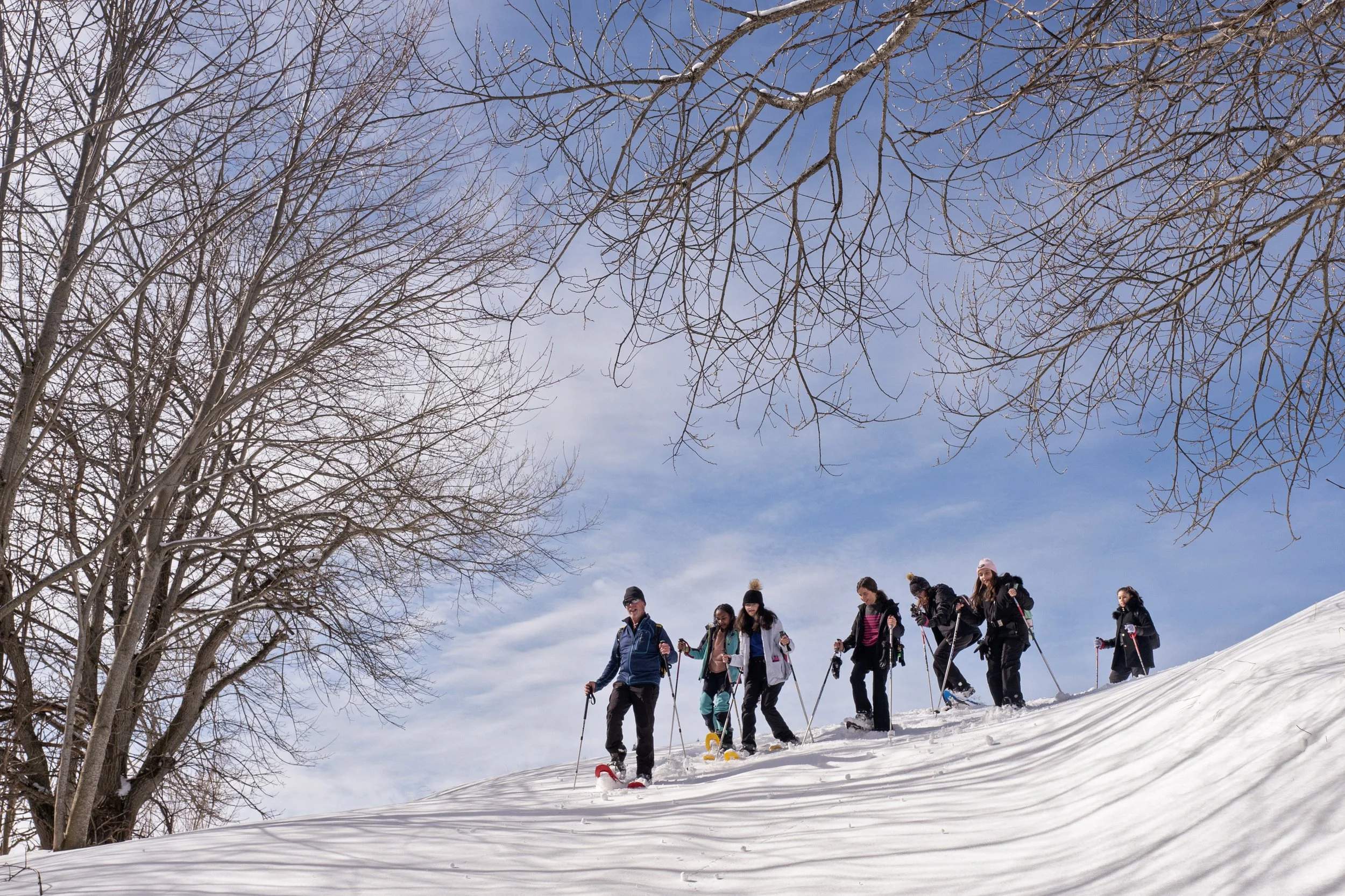 Group of people skiing on a snow-covered hill with bare trees and a blue sky in the background.