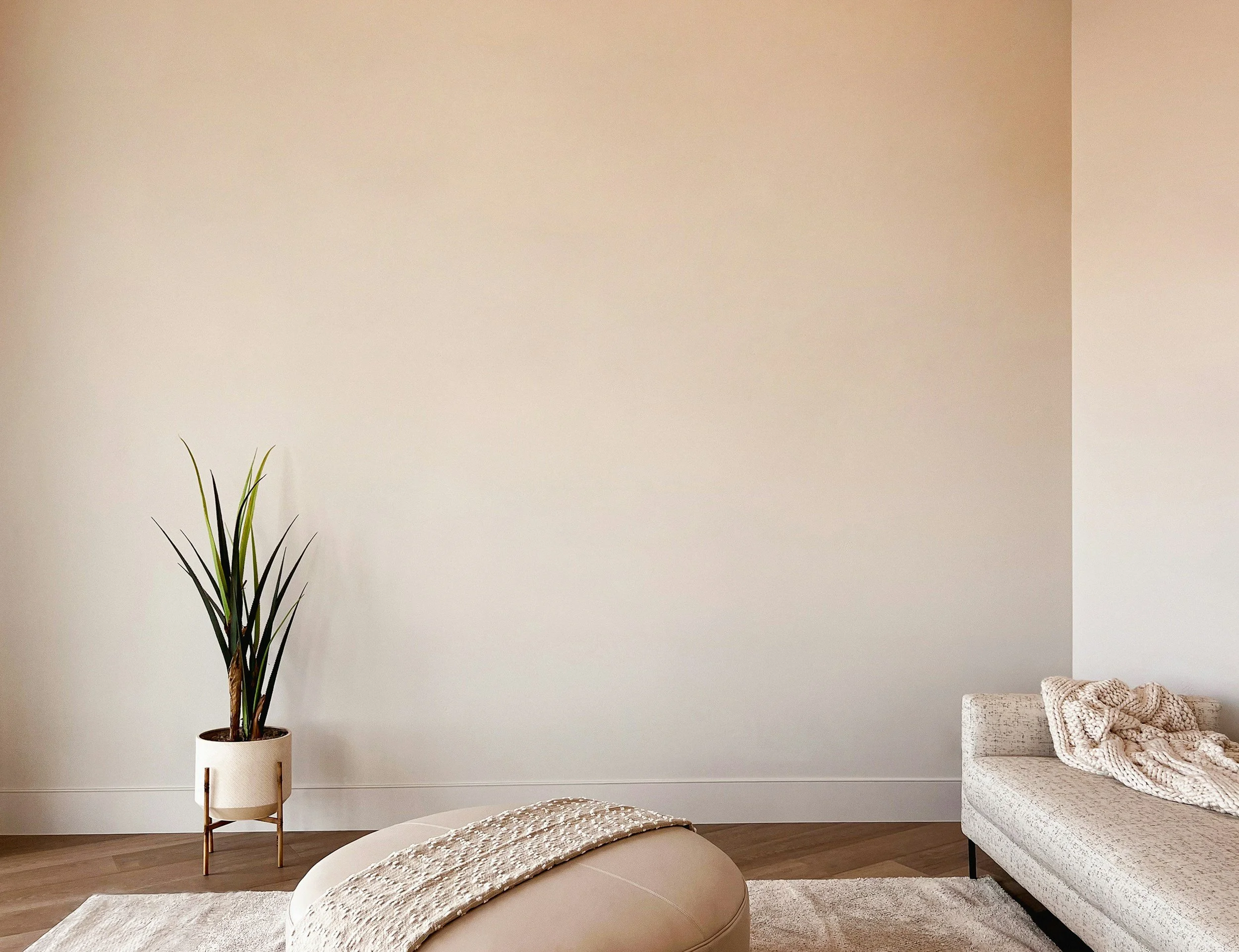 Minimalist living room with a tall potted plant, a cream-colored ottoman with a textured blanket, a modern light-colored sofa with a knitted blanket, and a neutral rug on a wooden floor.