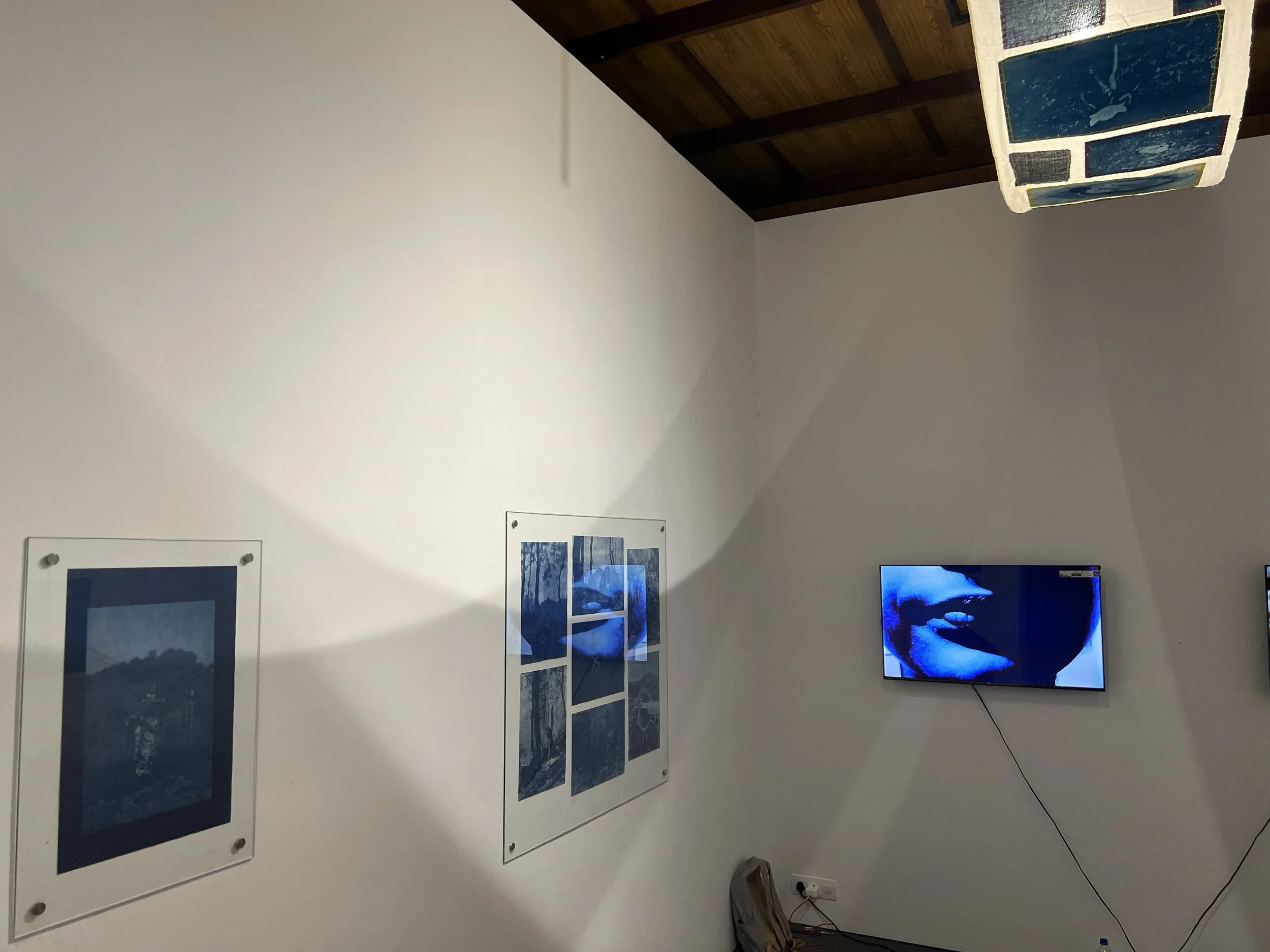 Works by a collective of students from Jawahar Lal Nehru Govt College of Fine Arts, Shimla titled ‘to be who? & not to be who?’ Photo by Karin Zitzewitz