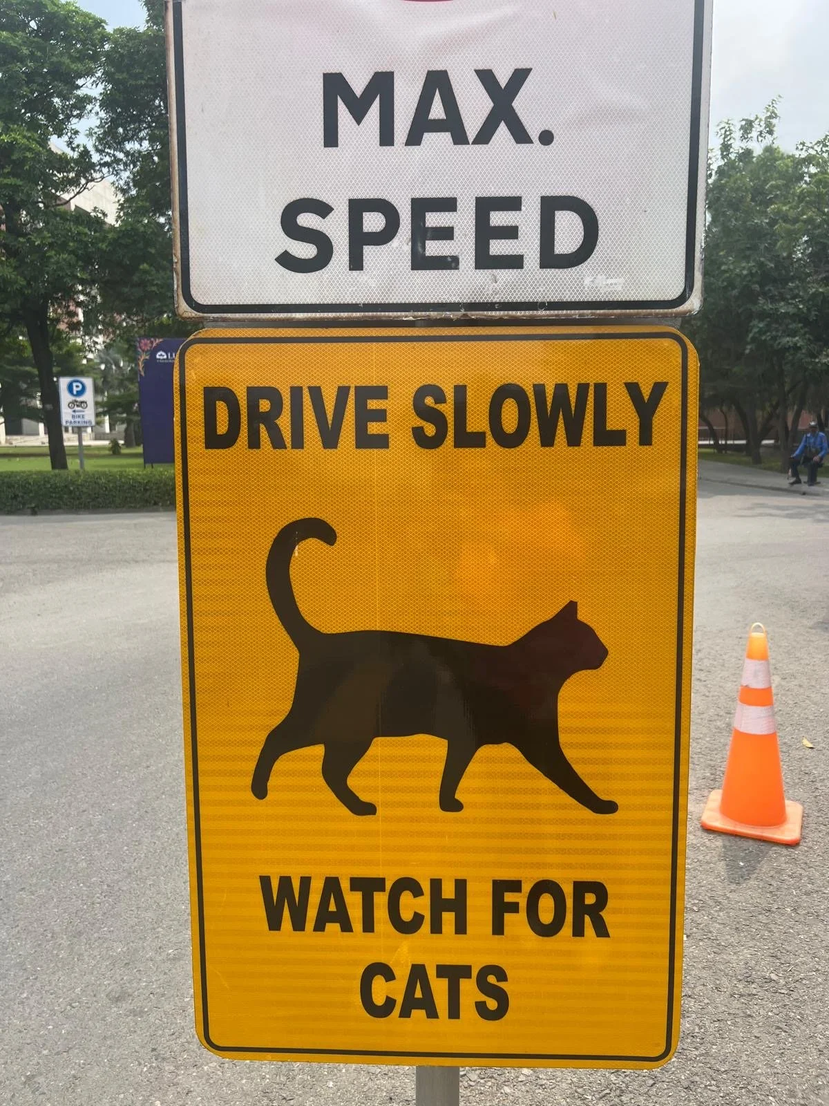 4 LUMS AAS cat 2.JPG