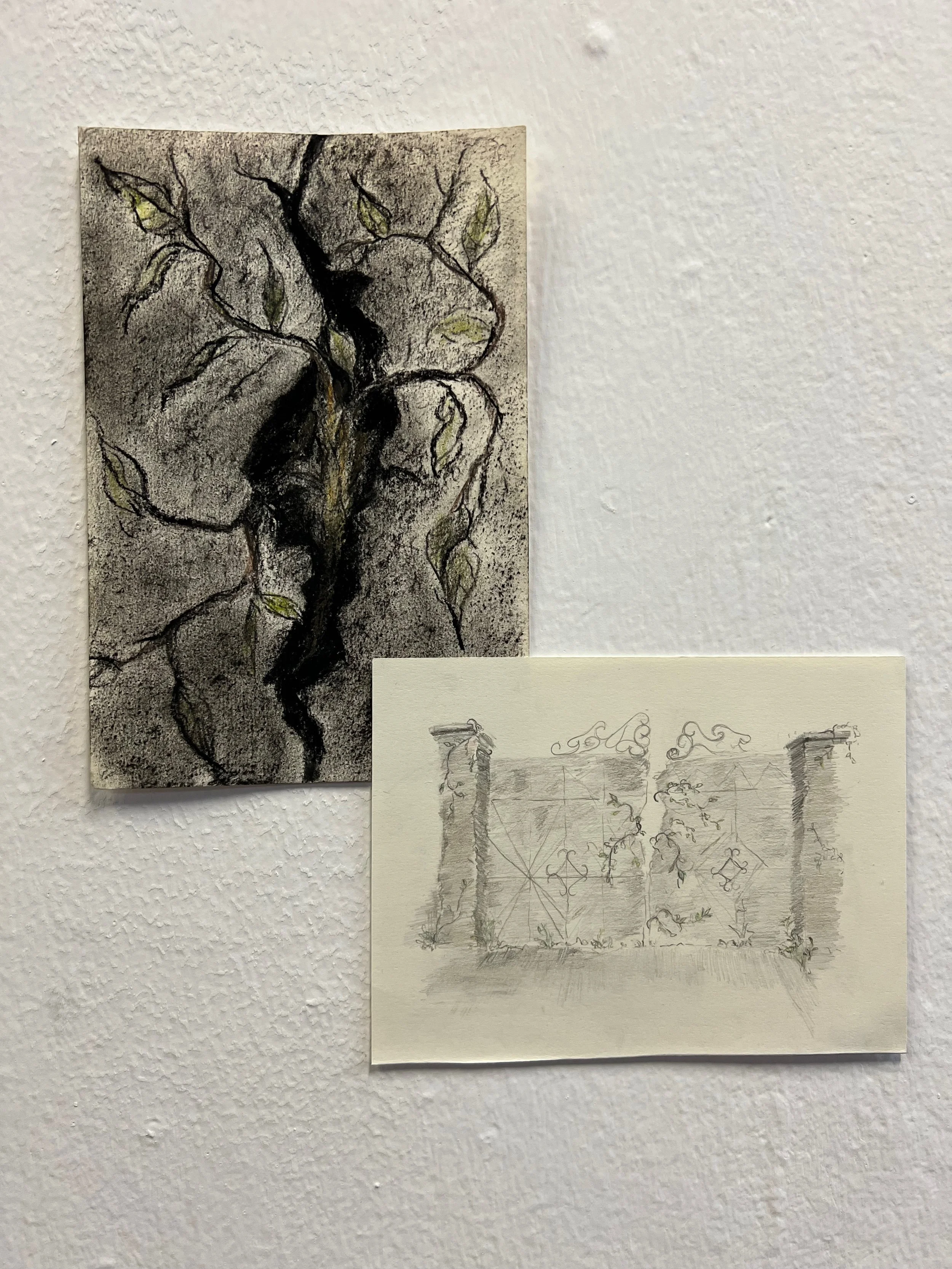 Barika Yousefi's preliminary drawings explored how plants take over architecture.