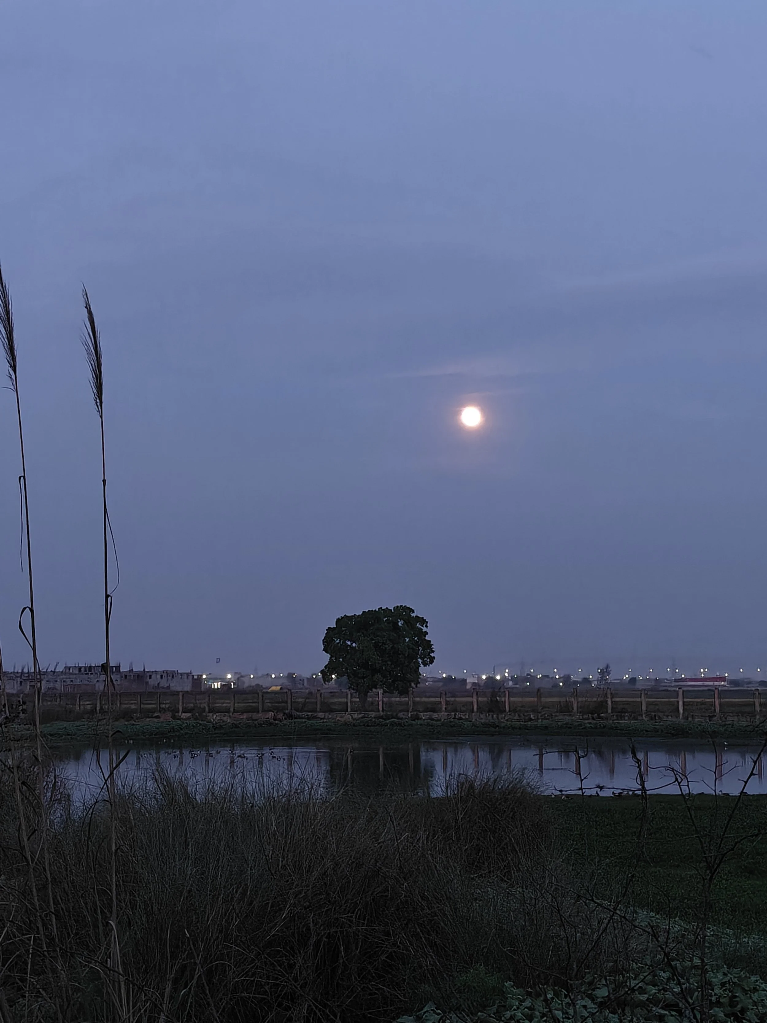 Moonrise by the lakeside, SNU campus
