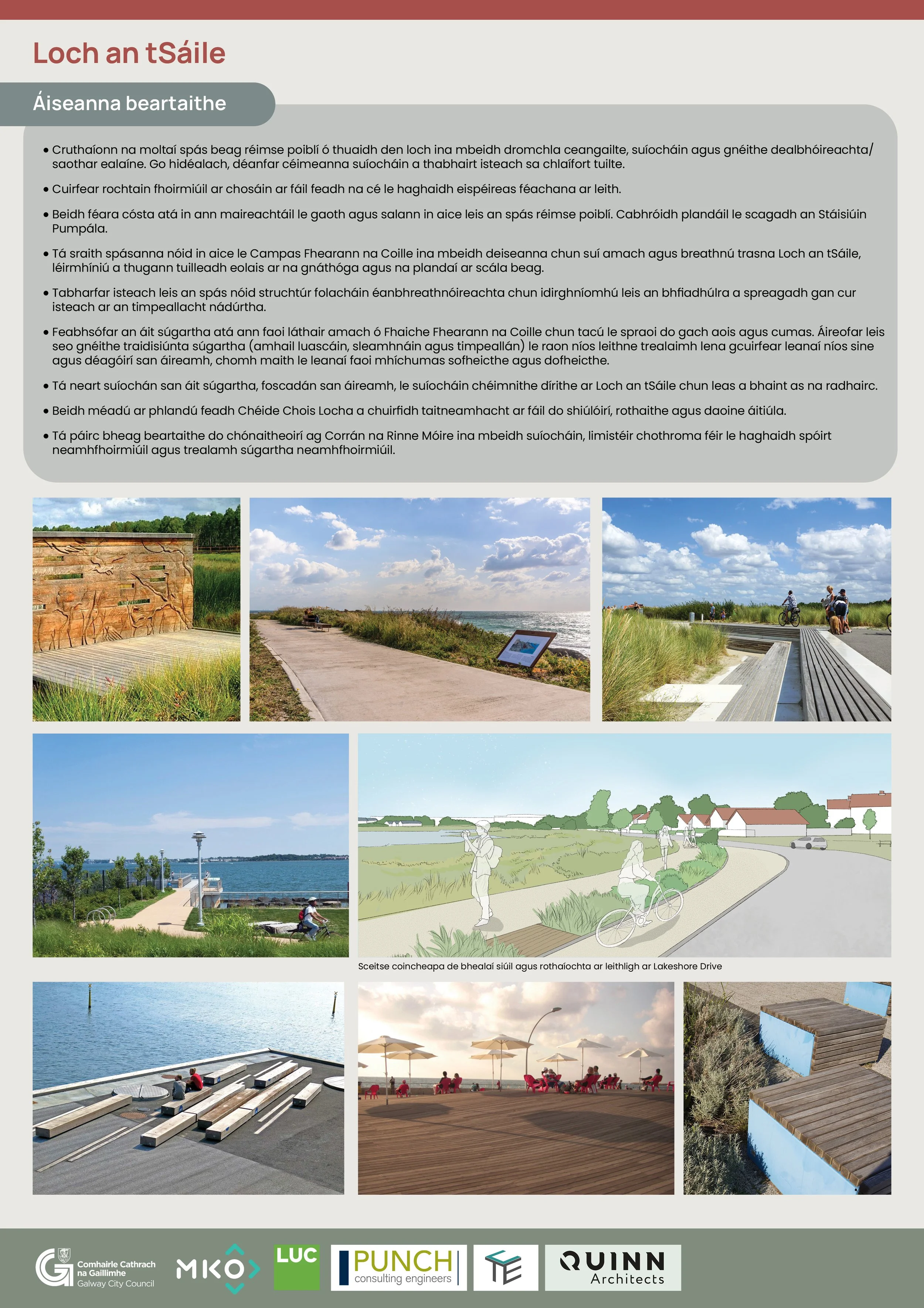 240732 - Renmore Parks PC3 - IRISH_14.jpg