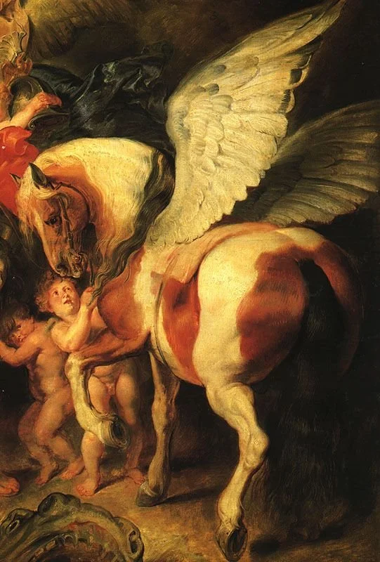 Year of the Fire Horse | How the Astrological Energy is impacting you in the year of the Horse