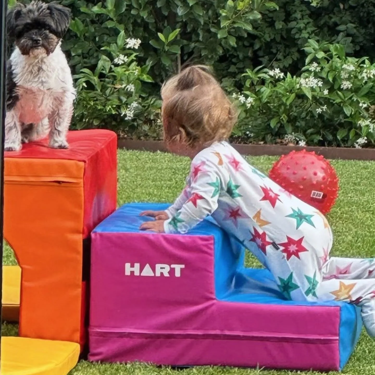 We know that you borrow toy library toys for all your family members to play with so we thought we'd share this lovely pic recently shared with us. 🐾🐾

We're looking forward to a very playful 2026 with all our lovely families and their furry friend