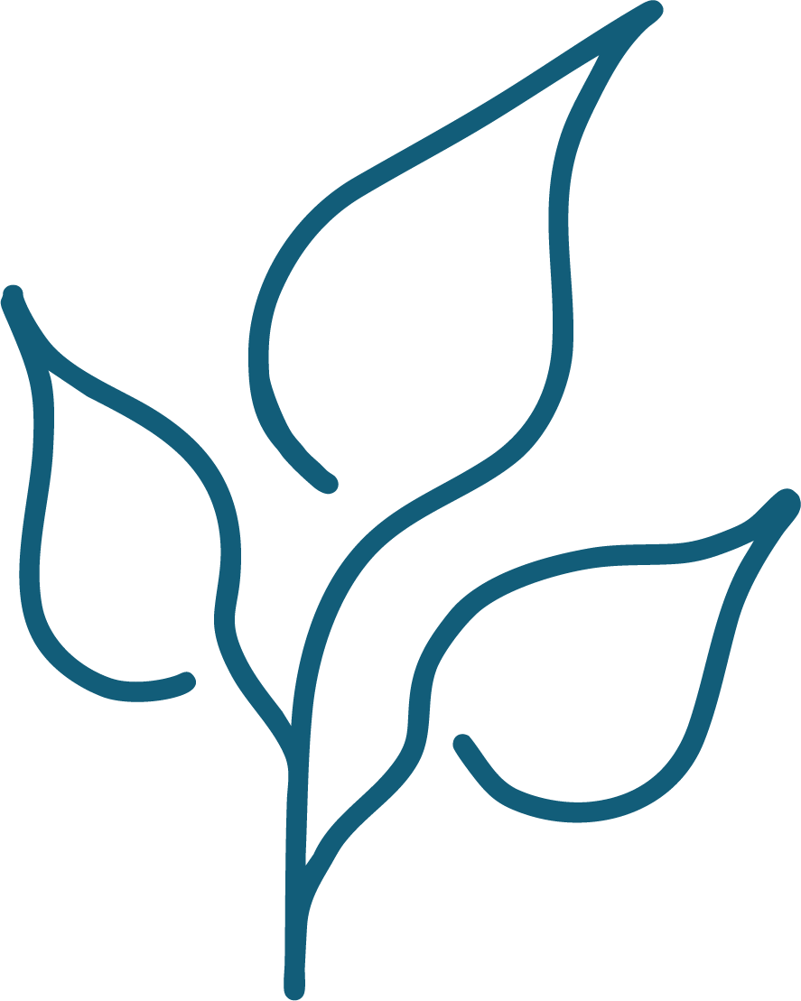 A simple line drawing of a plant with three leaves.