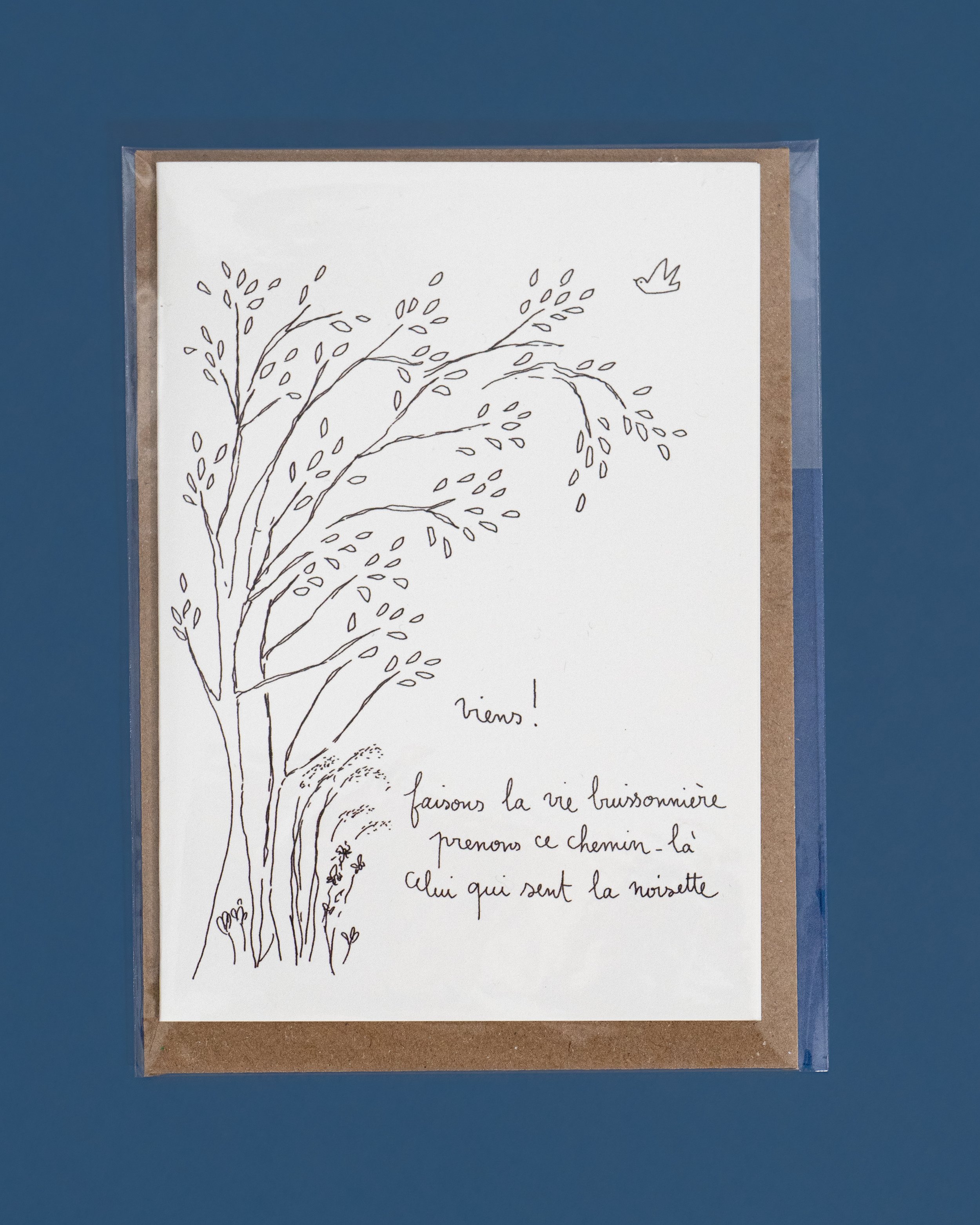quincaillerie d'albertine-carte papillon papillonage (21).jpg