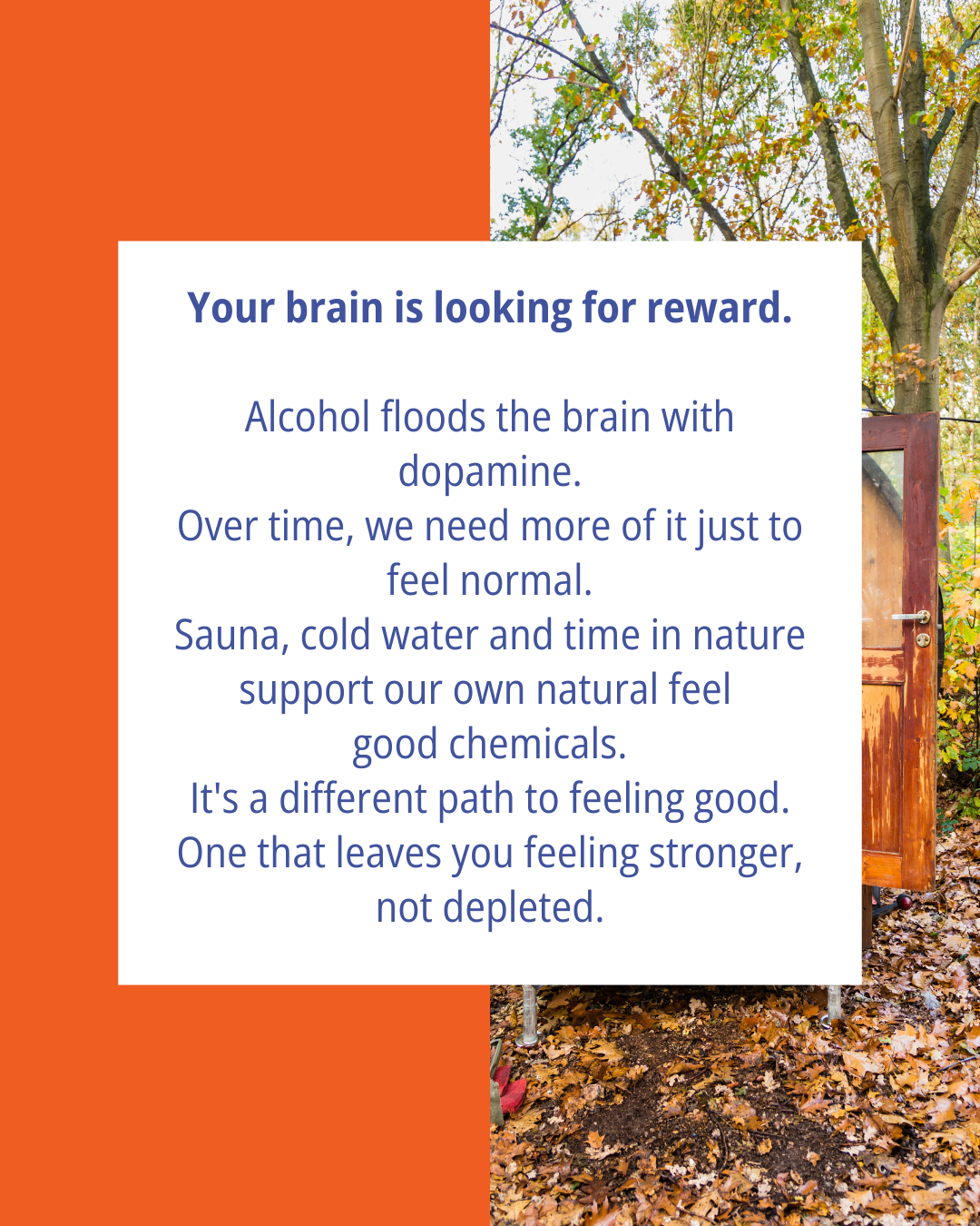 Slide 4 Sober Sauna.png