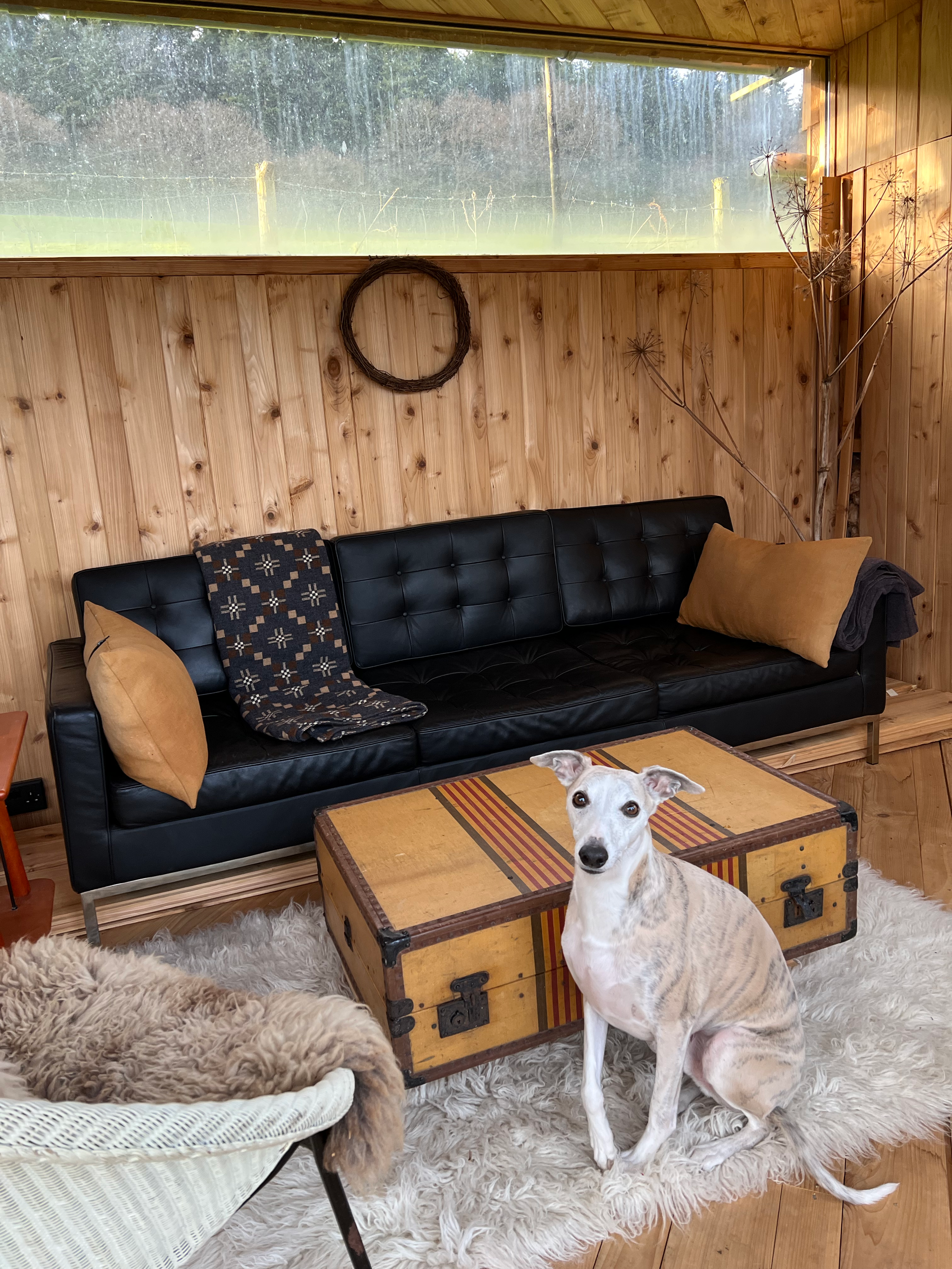 A room with wooden walls and a large window. A black leather sofa with yellow pillows and a patterned blanket. A wooden coffee table and a fluffy white rug on the floor. Two dogs, one sitting and one lying down, are present in the room. A decorative 