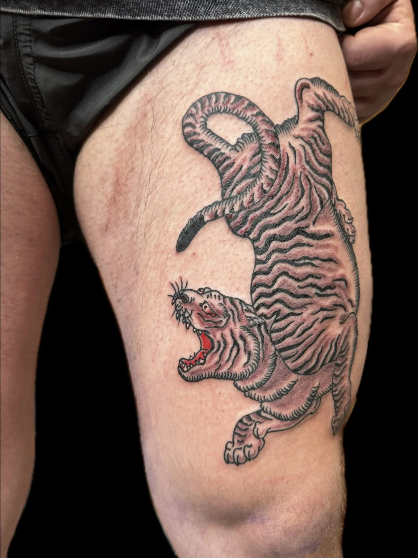 Crouching tiger, hidden dragon. 
.
.
.
#japanesetattoo #irezumi #wabori #aachentattoo #colognetattoo