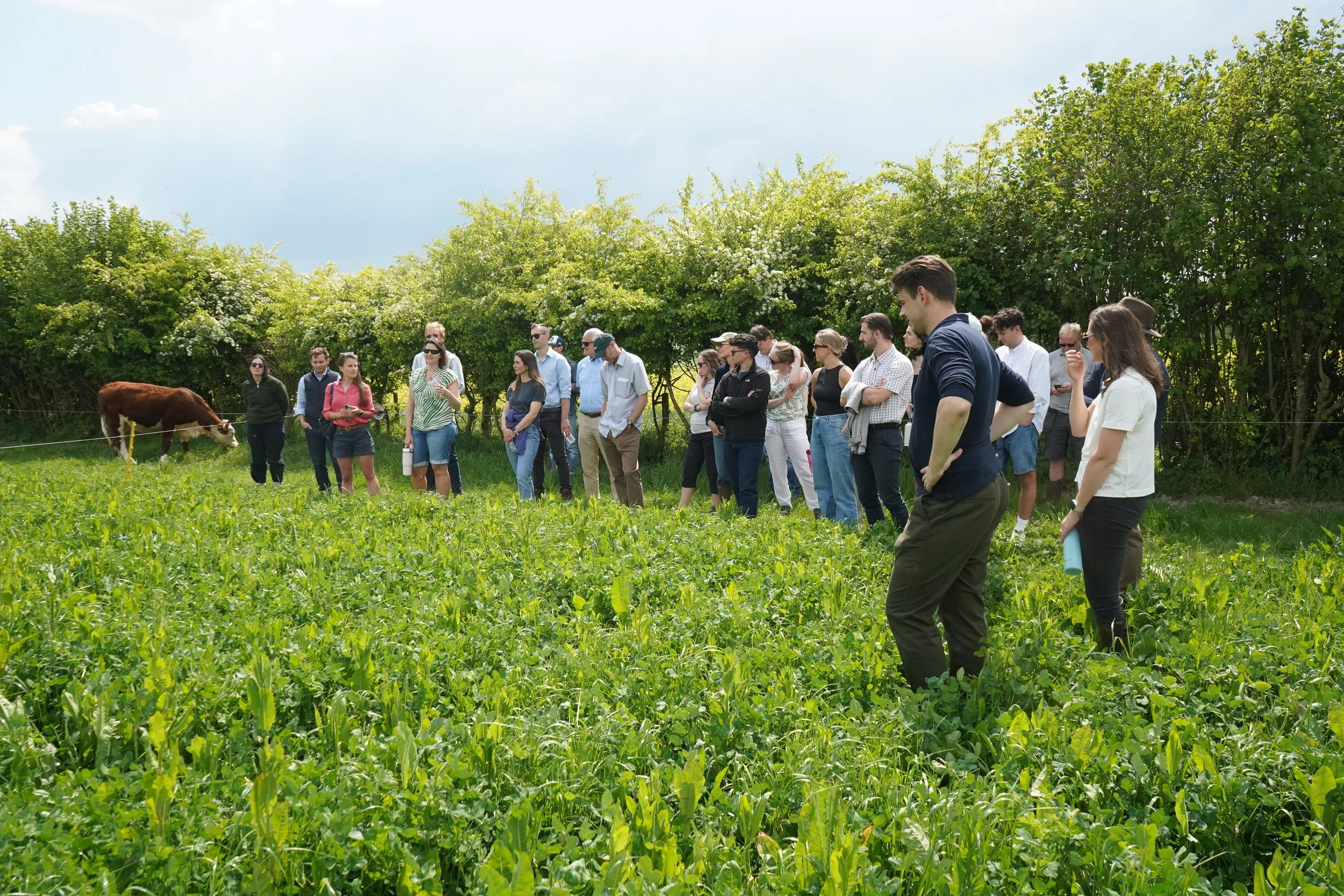 On the ground, on the journey: exploring the impact of carbon credits - on the farm