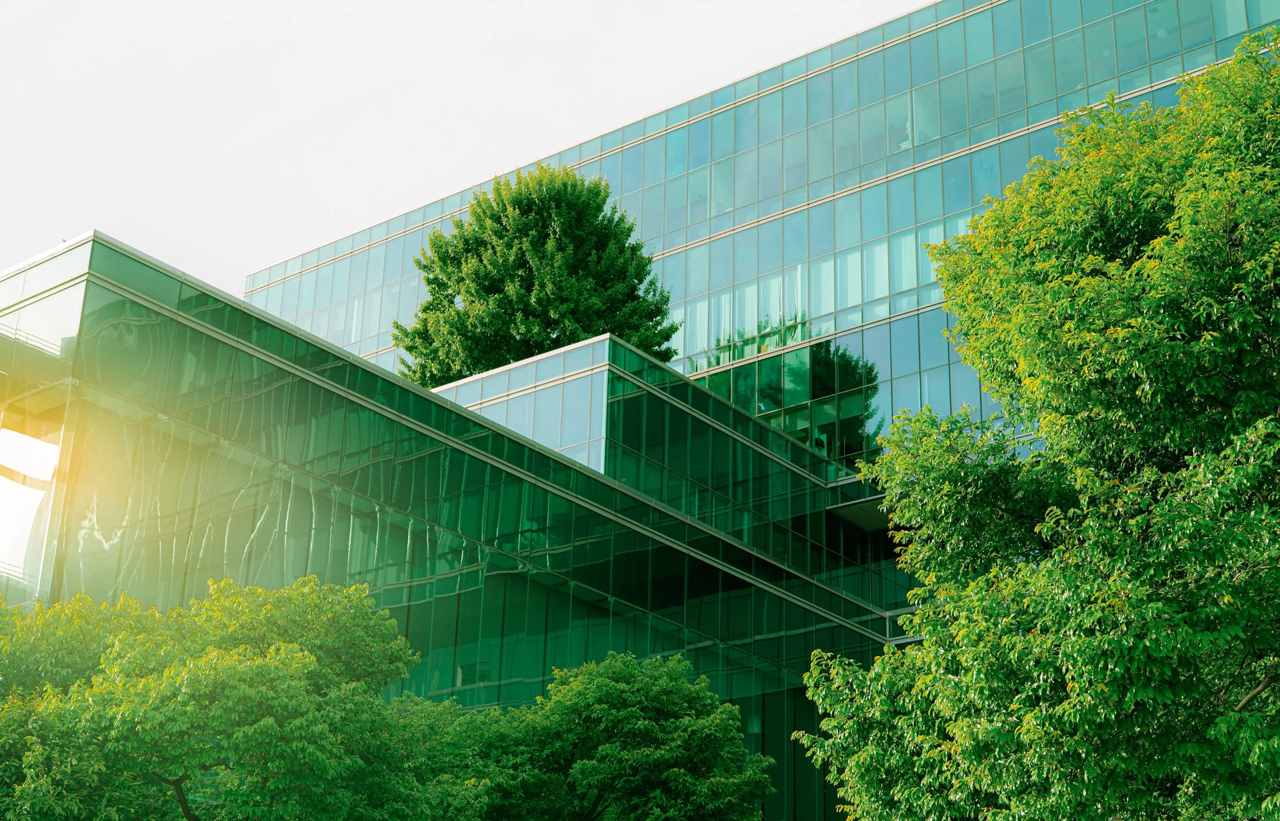 Why Infrastructure is the key to unlocking the carbon portfolio approach