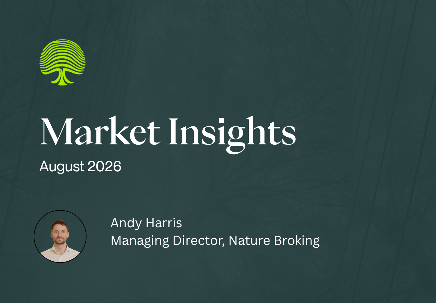 August 2026: Market Insights
