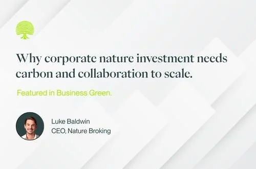 Why corporate nature investment needs carbon and collaboration to scale