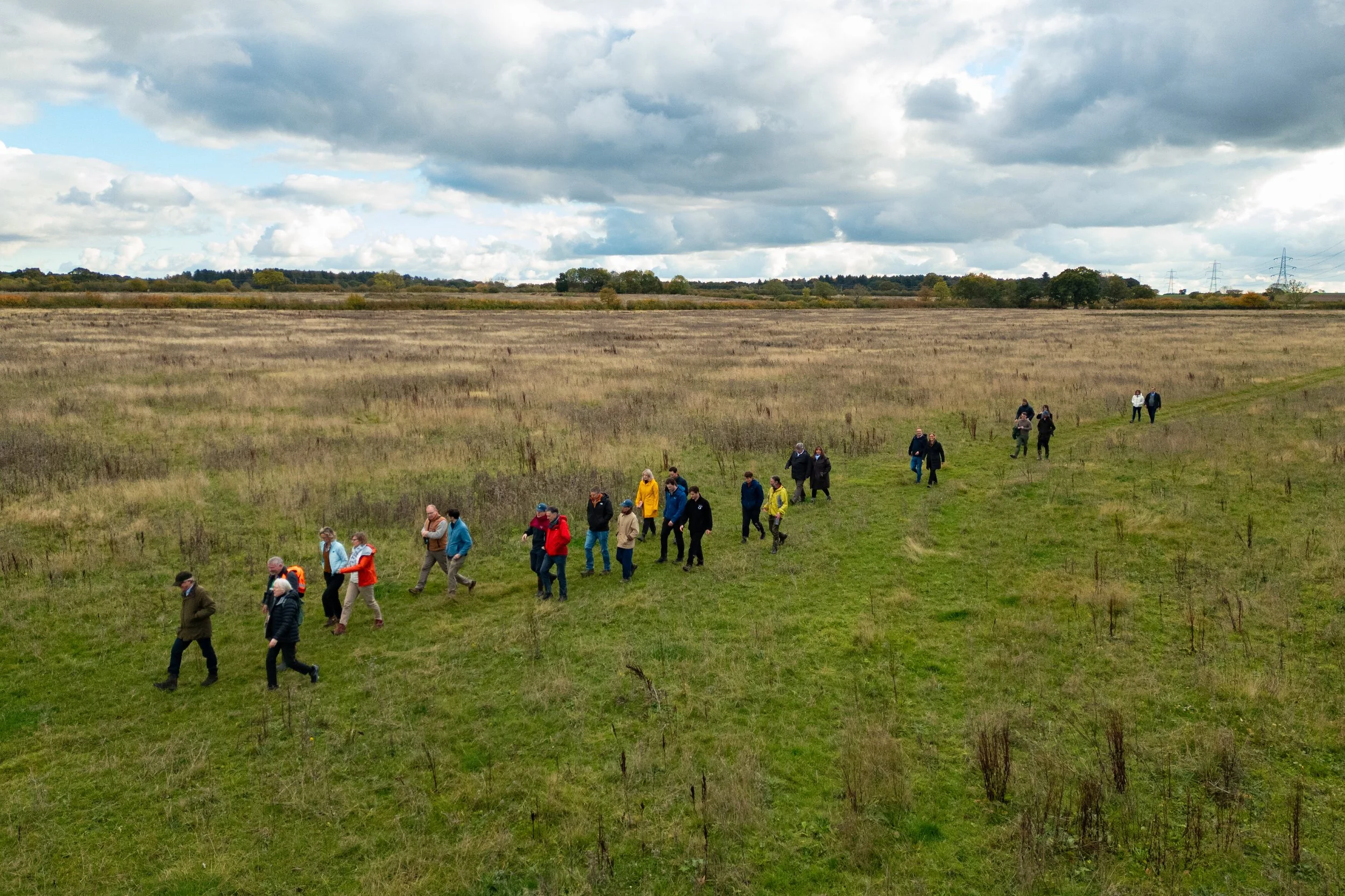 Nature Broking partners with Great Yellow to connect more buyers with Landscape Recovery projects