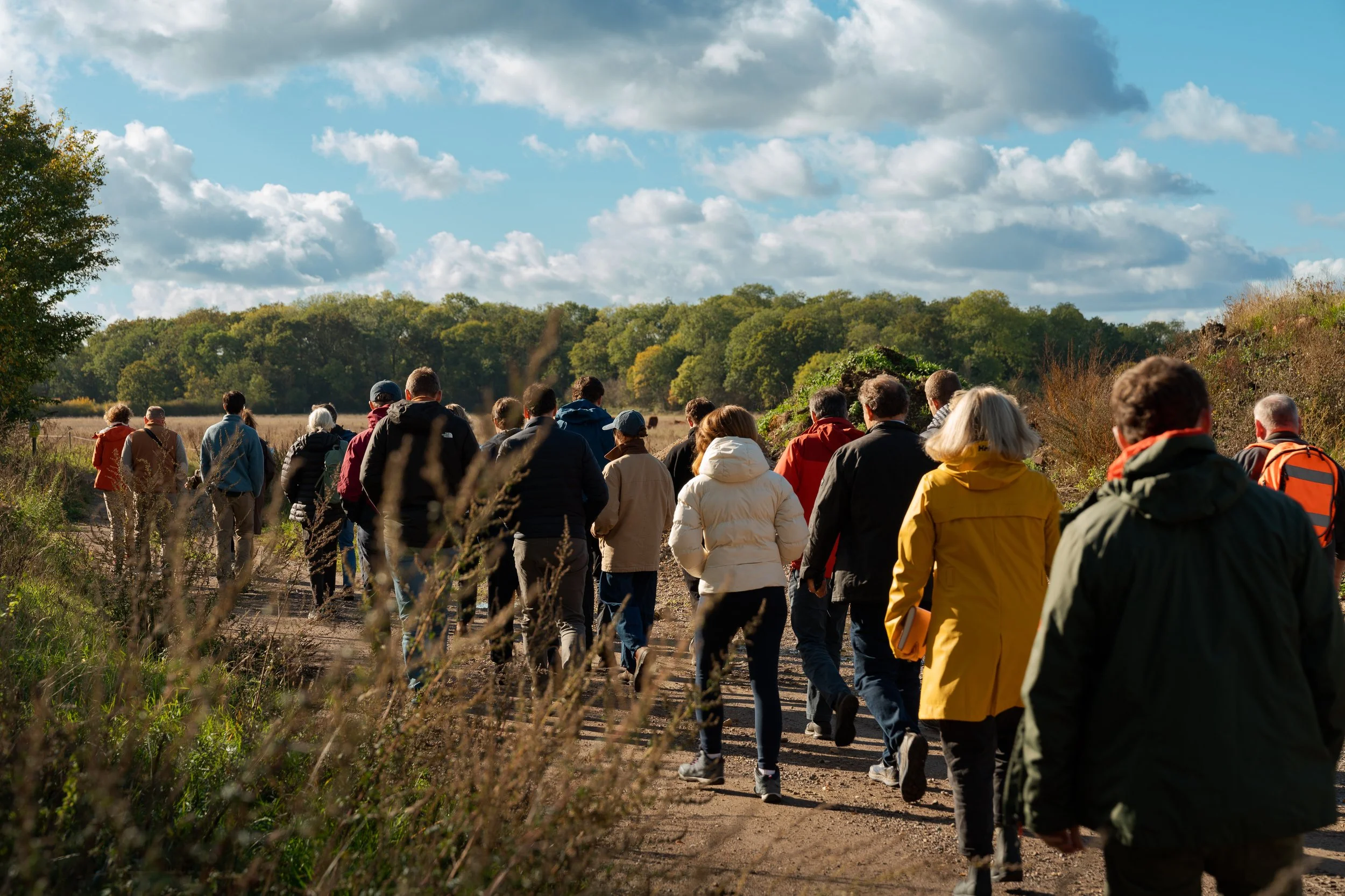 Nature Broking partners with Great Yellow to connect more buyers with Landscape Recovery projects
