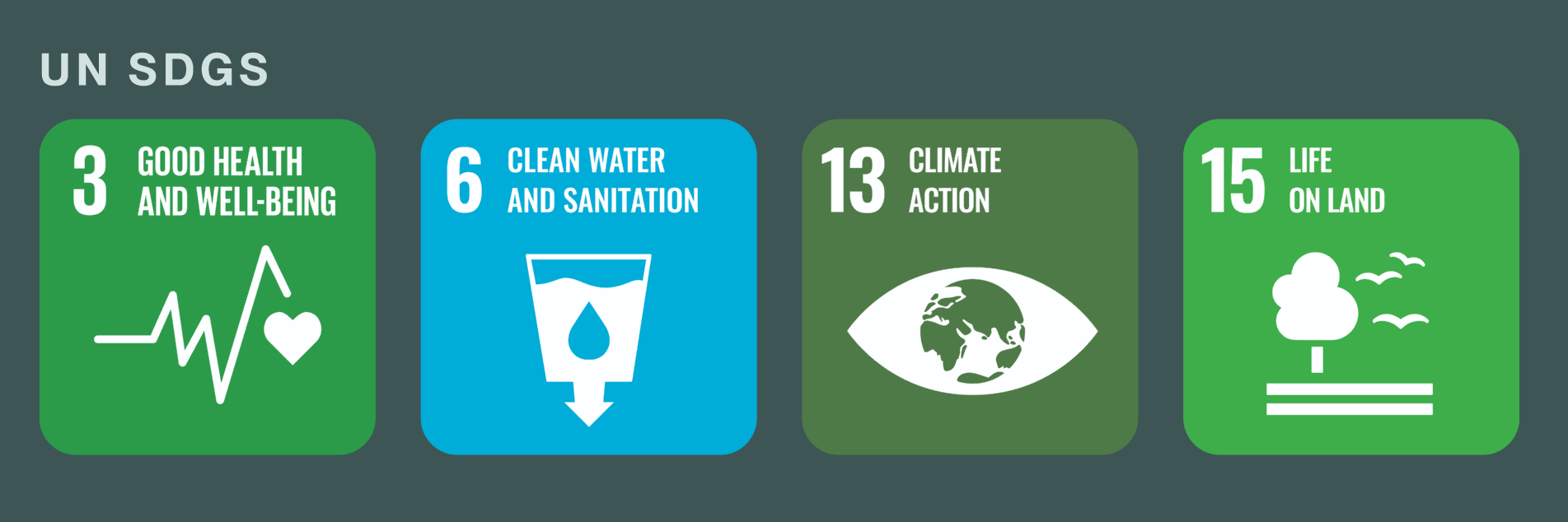UN SDGs
