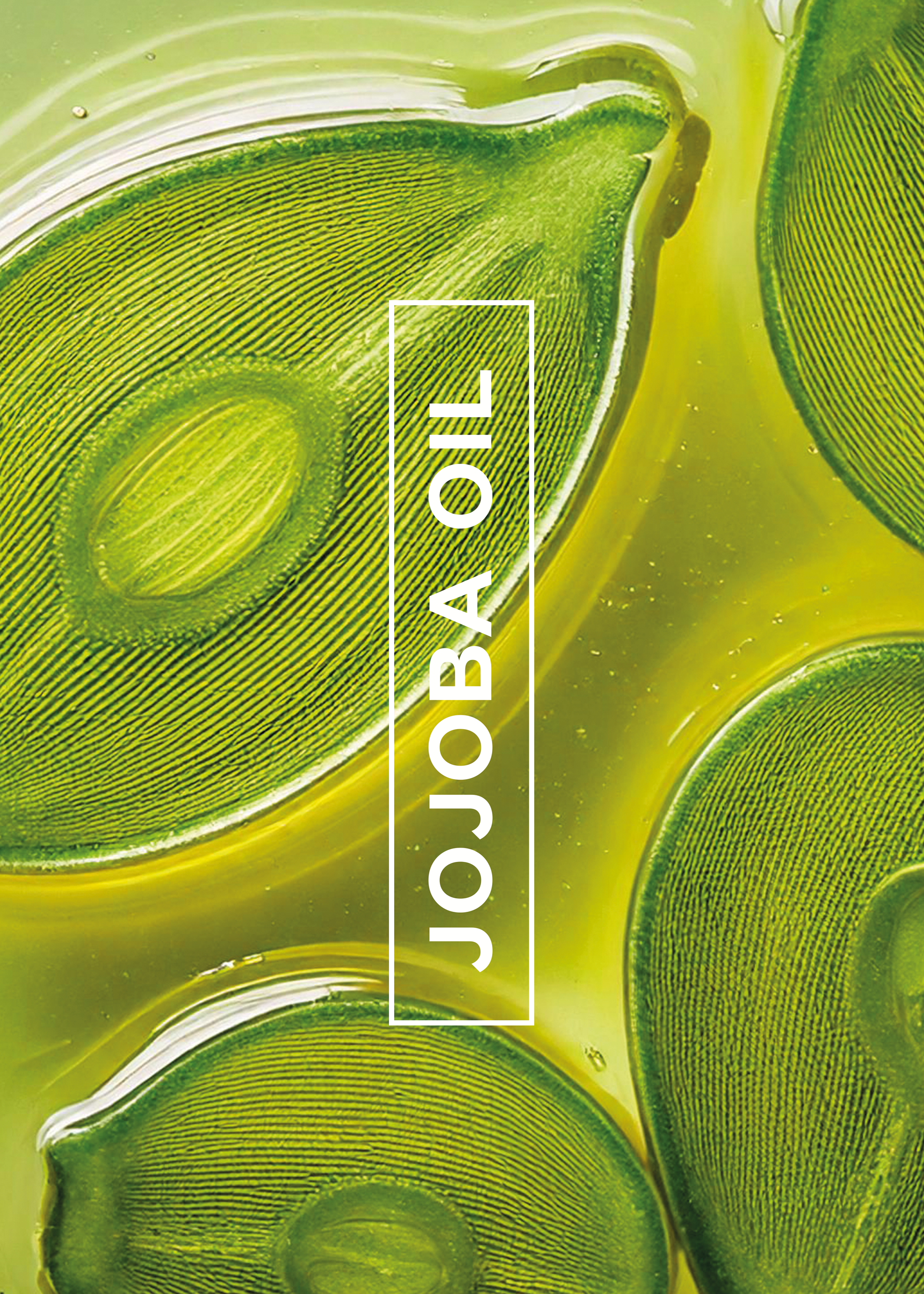 Ingredients-A3-jojoba-oil.png