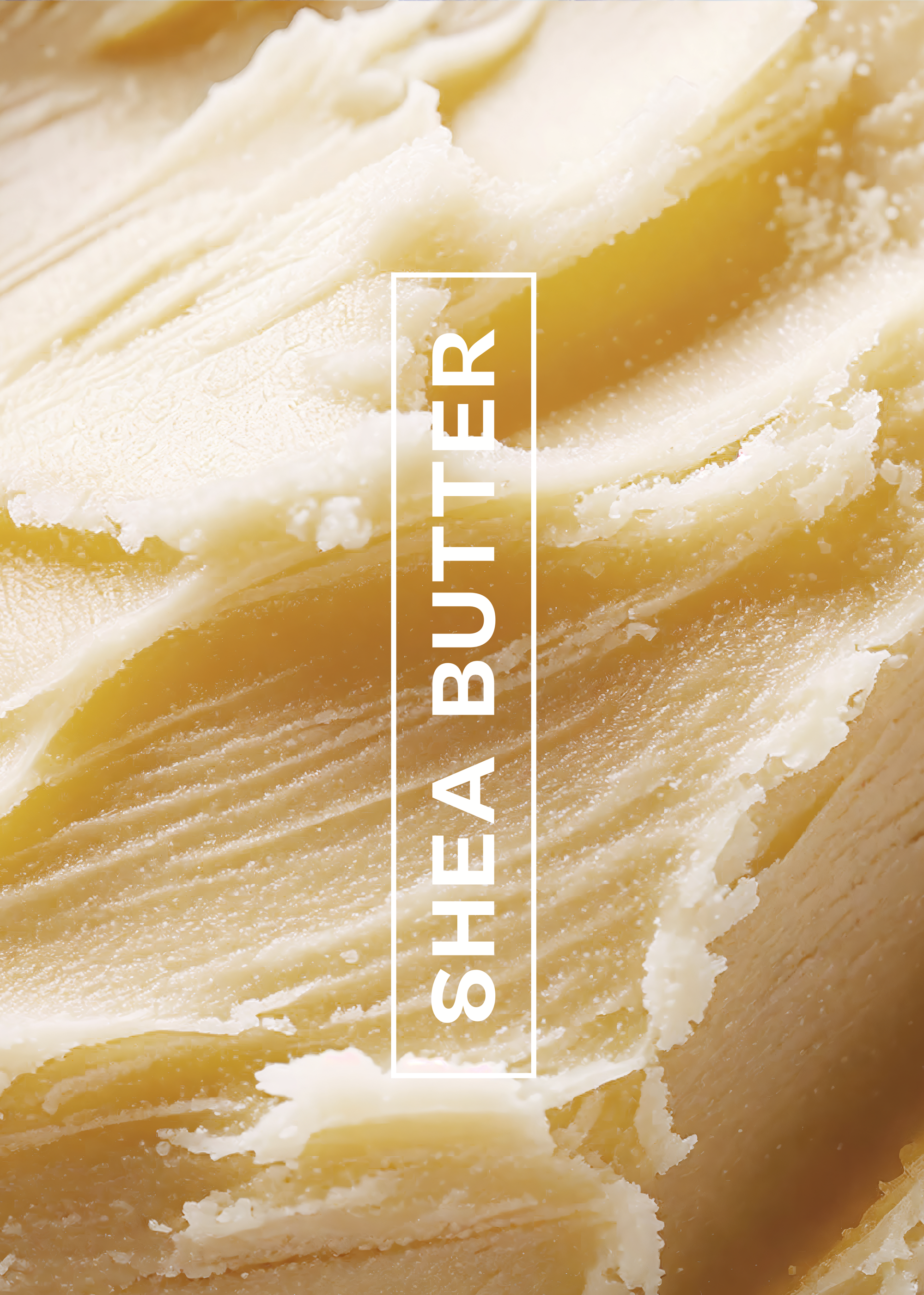 Ingredients-A3-shea-butter.png
