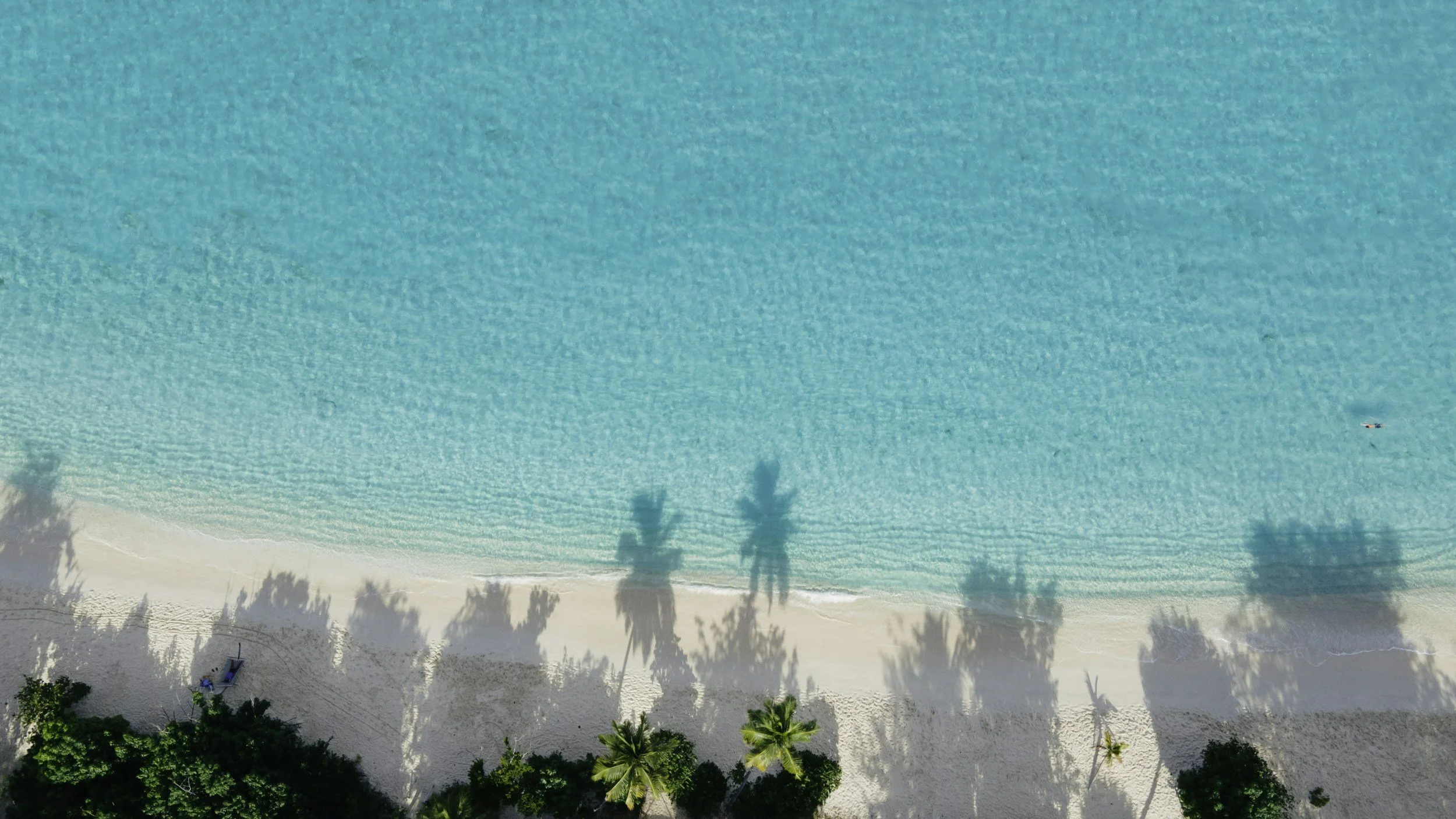 unsplash-image-NR6OAMbAYPQ.jpg