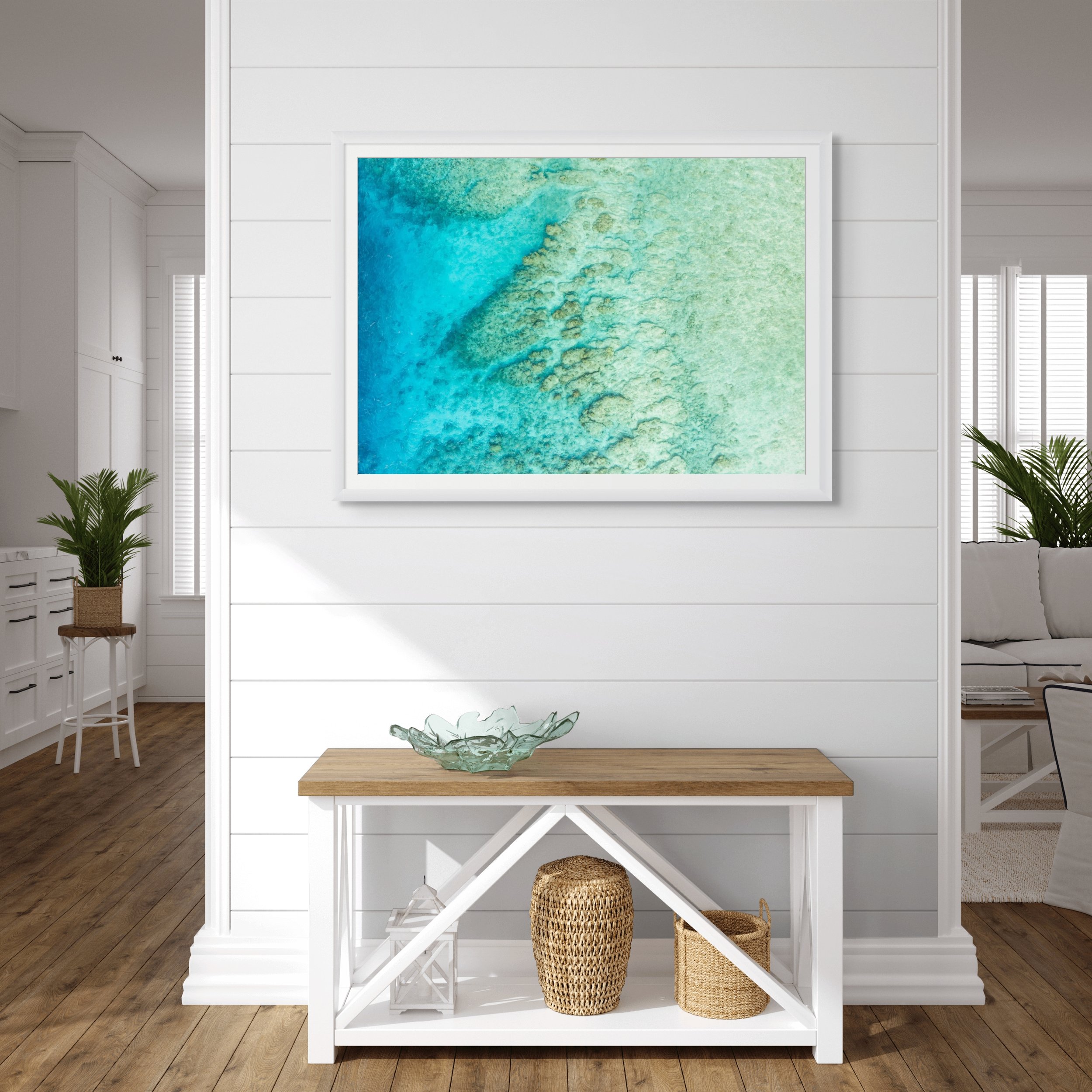 reef a3.jpg