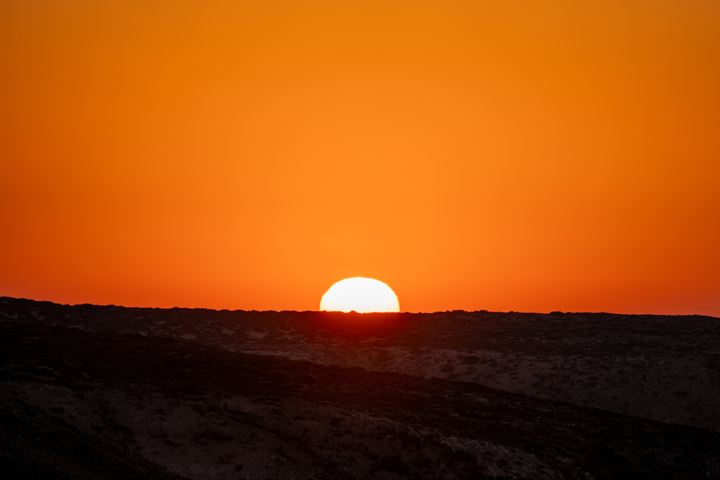 DSC08173-2.jpg