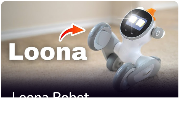 1 -loona.png