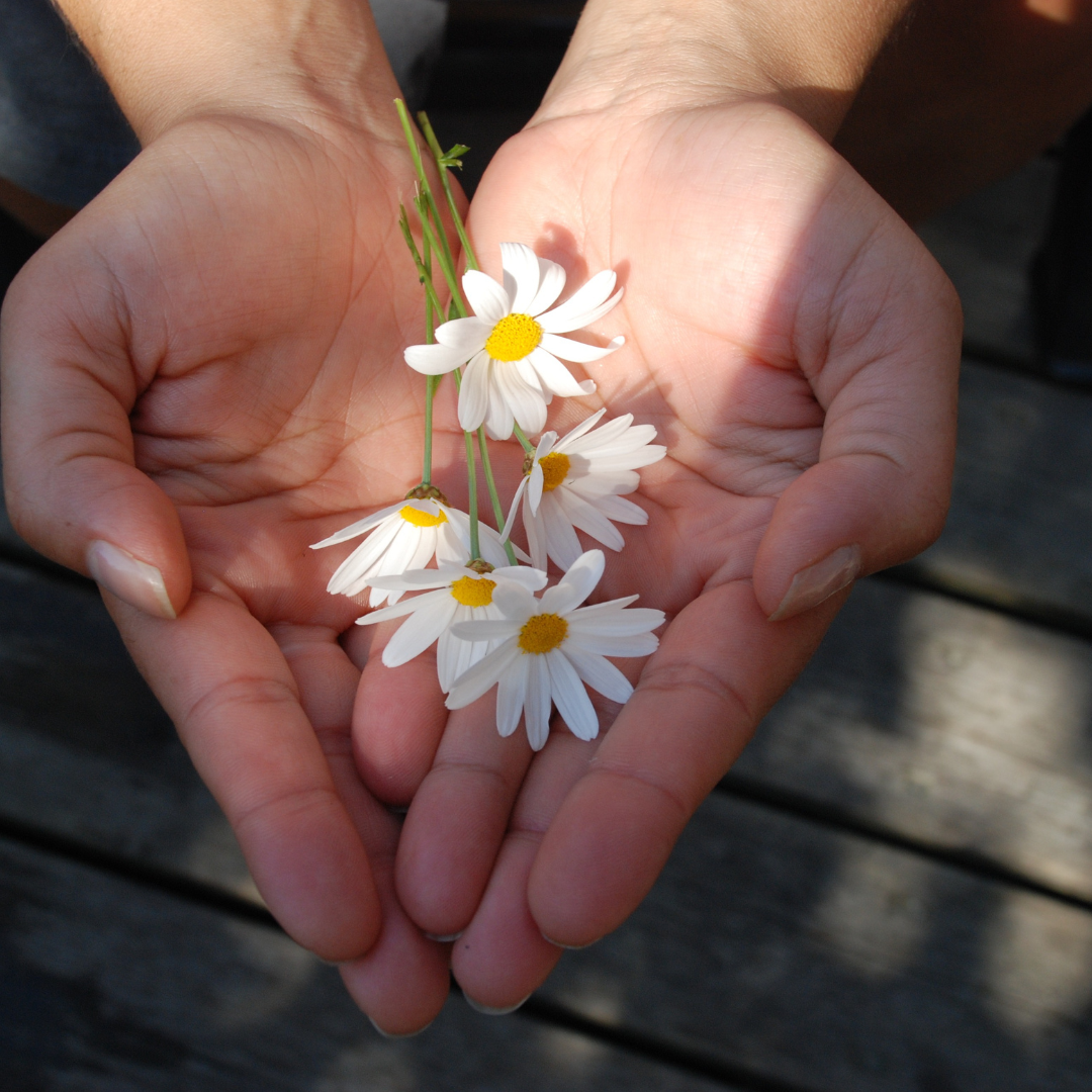 The spiritual law of reciprocity