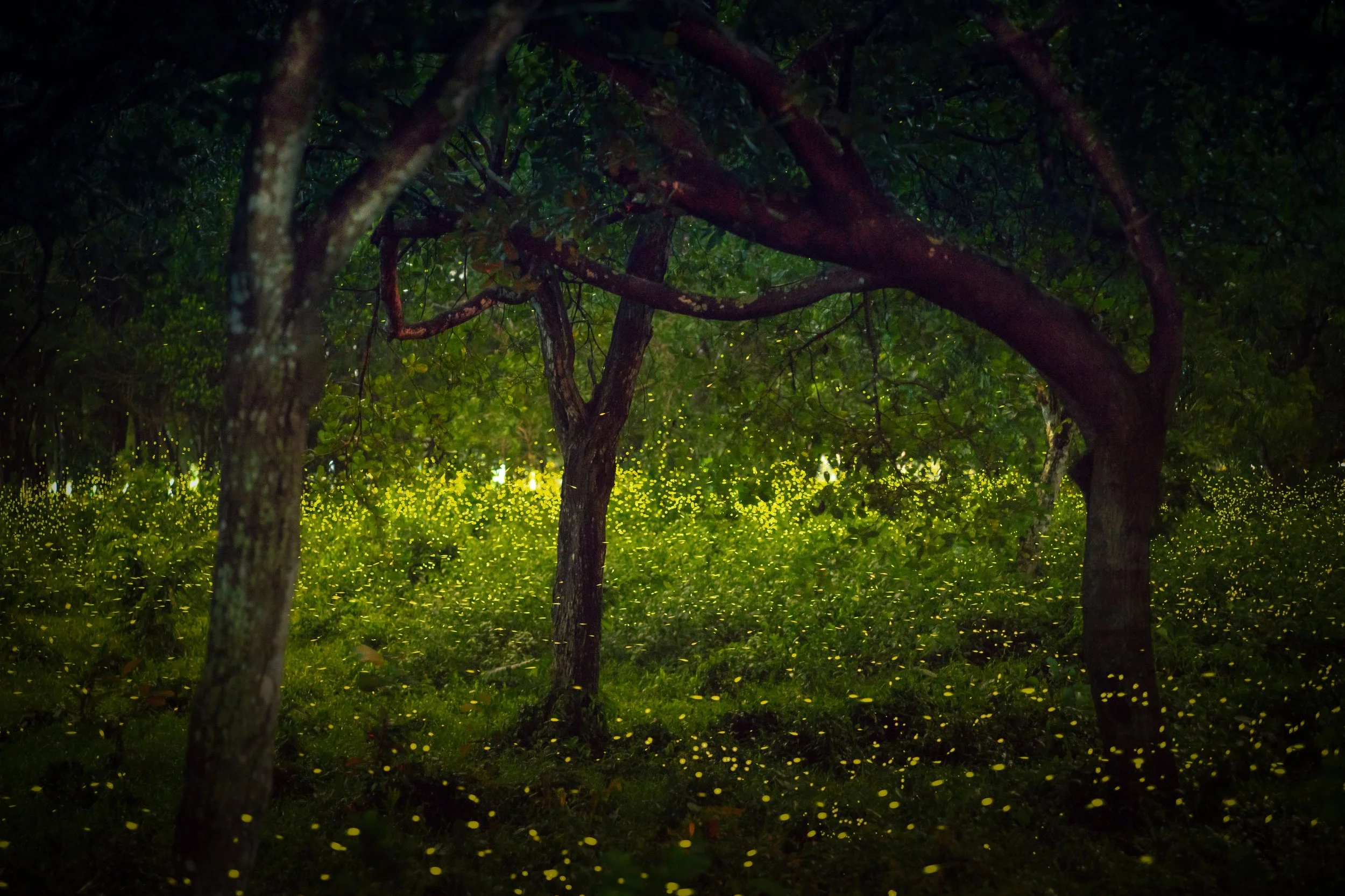 Ground and connect to your super-root