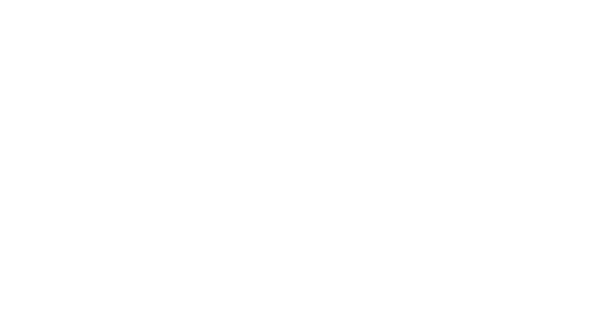 Action leadership